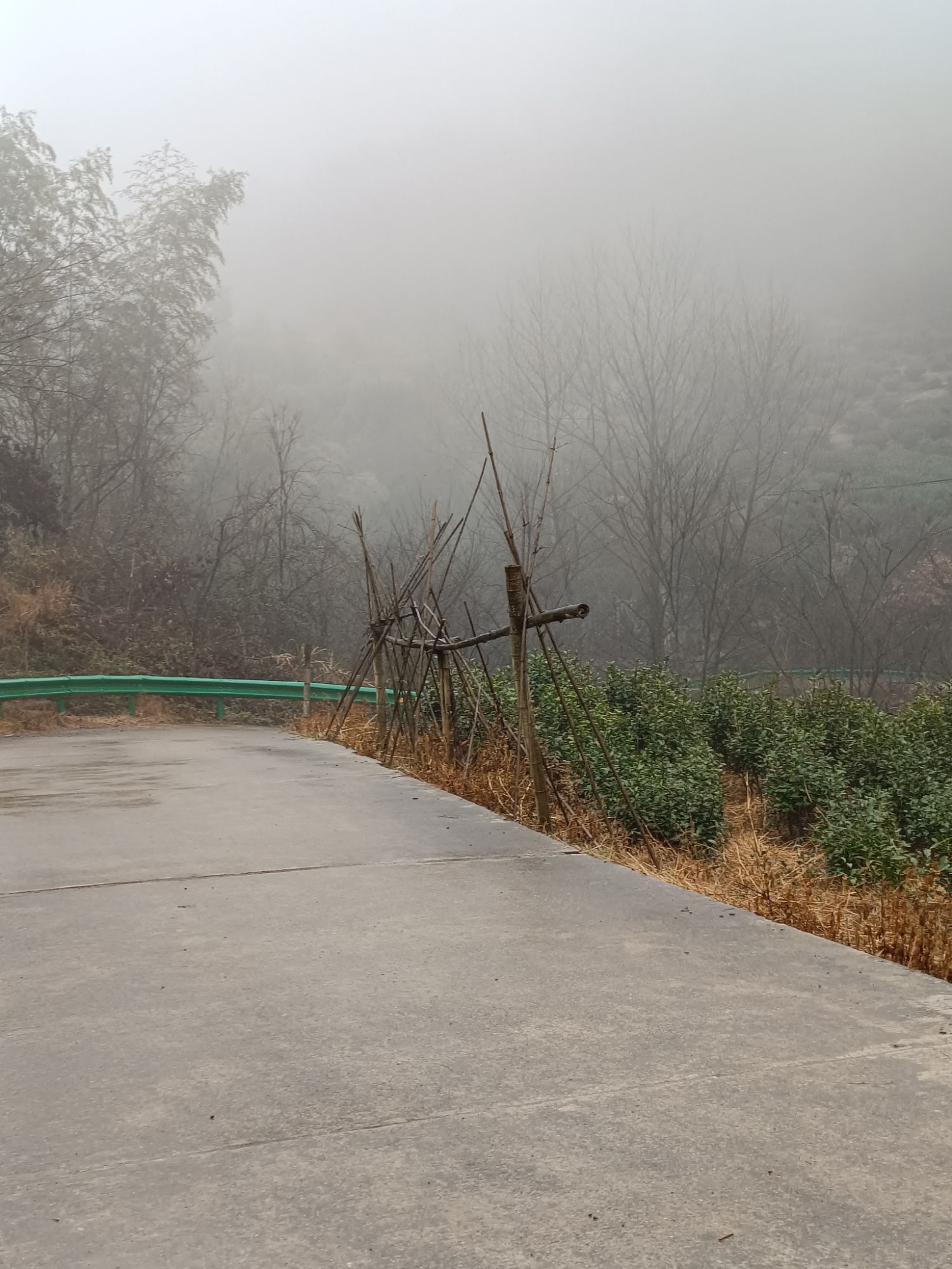 杨三寨风景区旅行图片 1