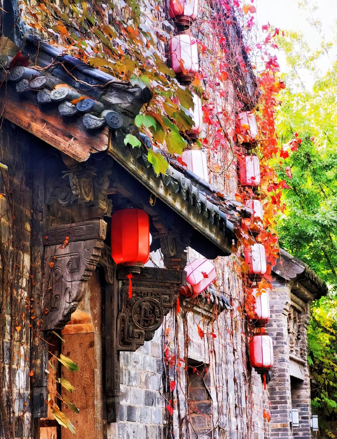 明清苑旅行图片 3