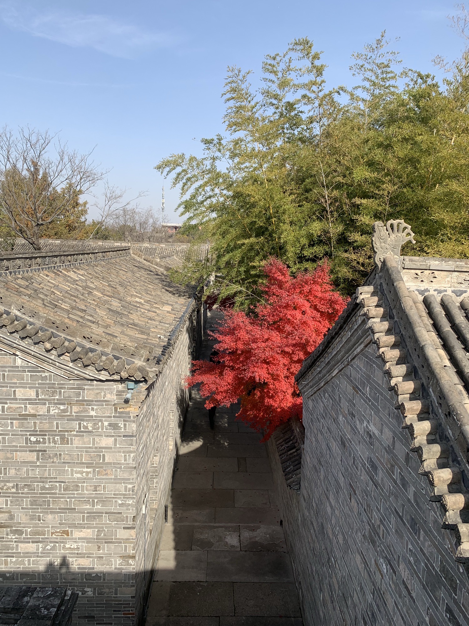 明清苑旅行图片 1