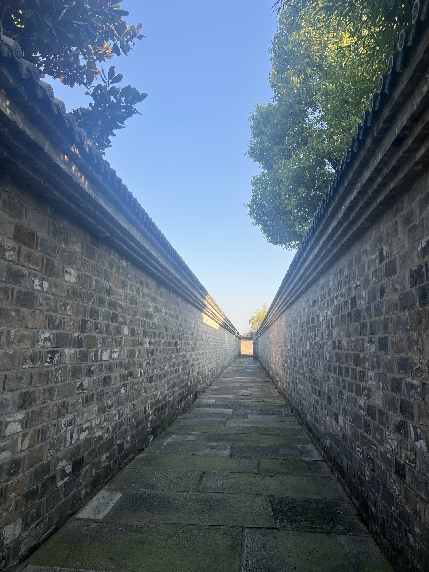明清苑旅行图片 2