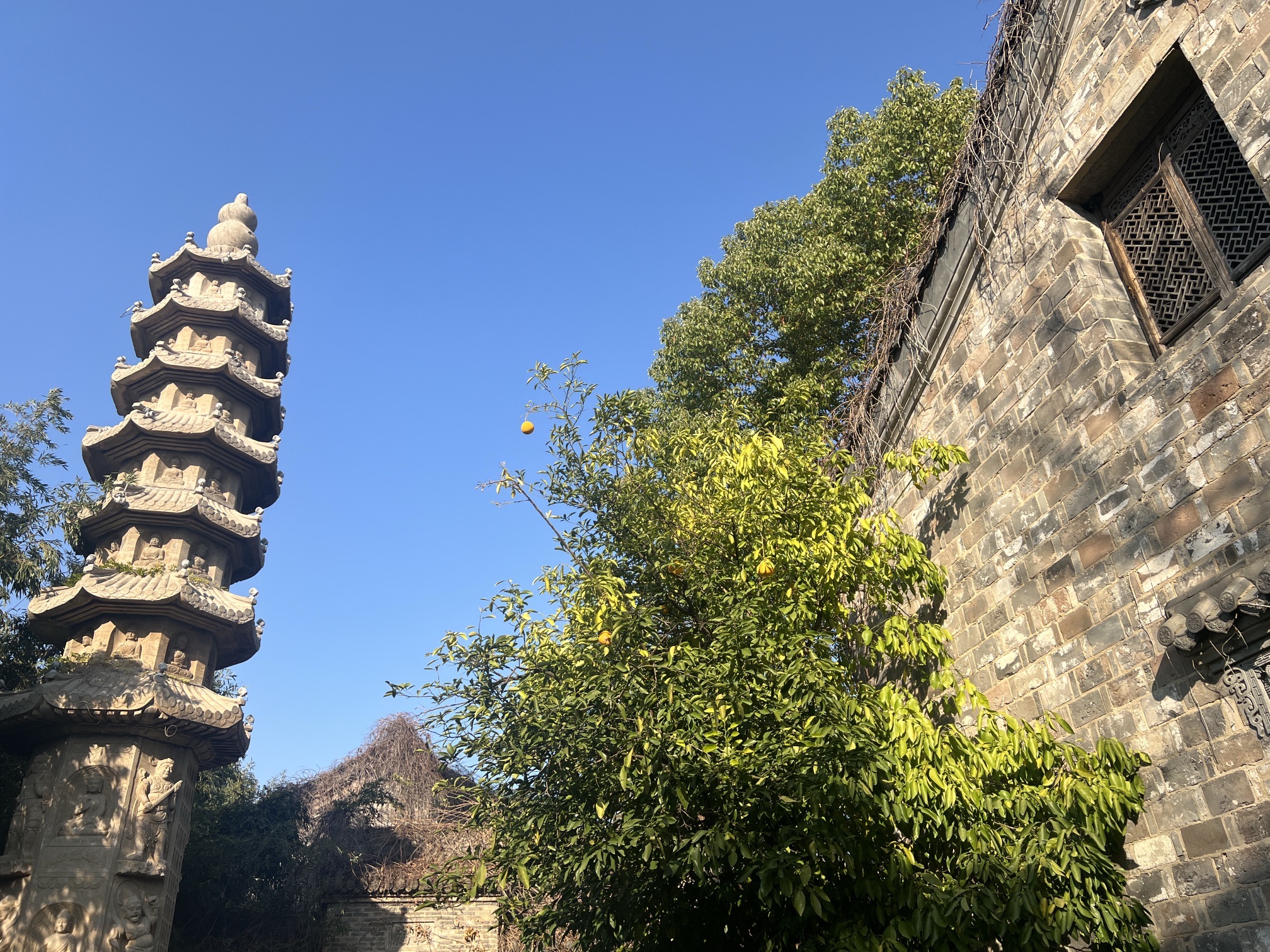 明清苑旅行图片 1