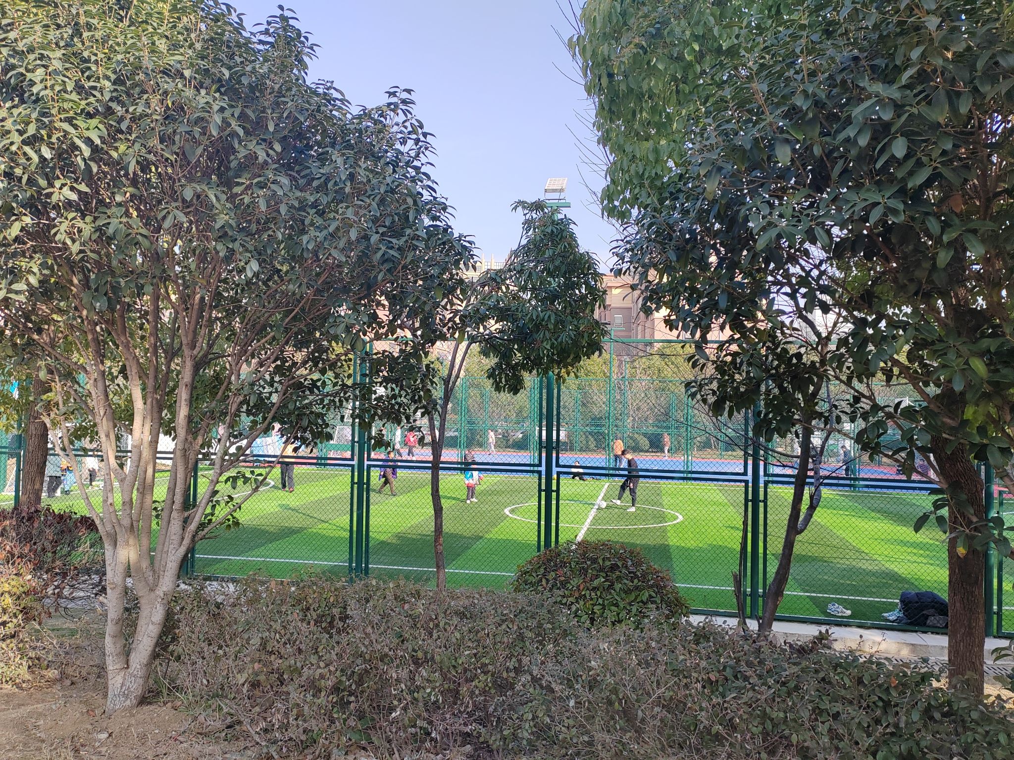 斌峰公园旅行图片 2