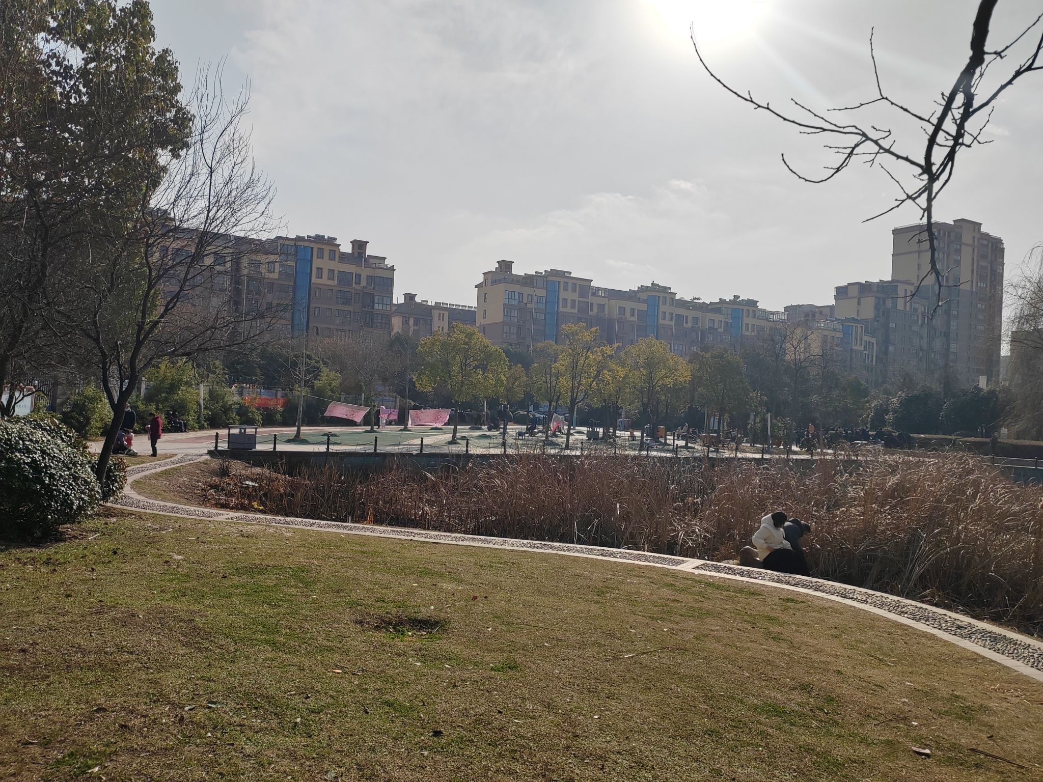 斌峰公园旅行图片 3