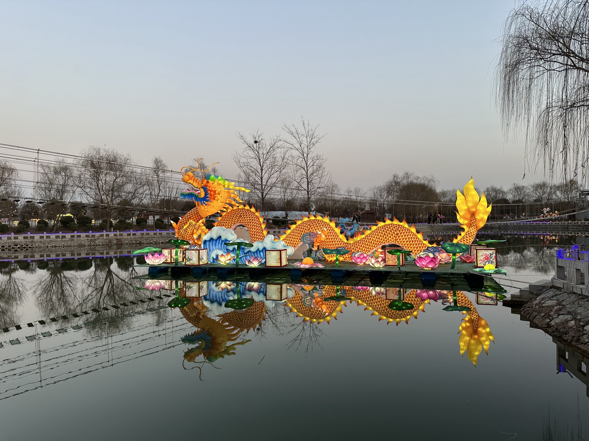 中国牡丹园旅行图片 2