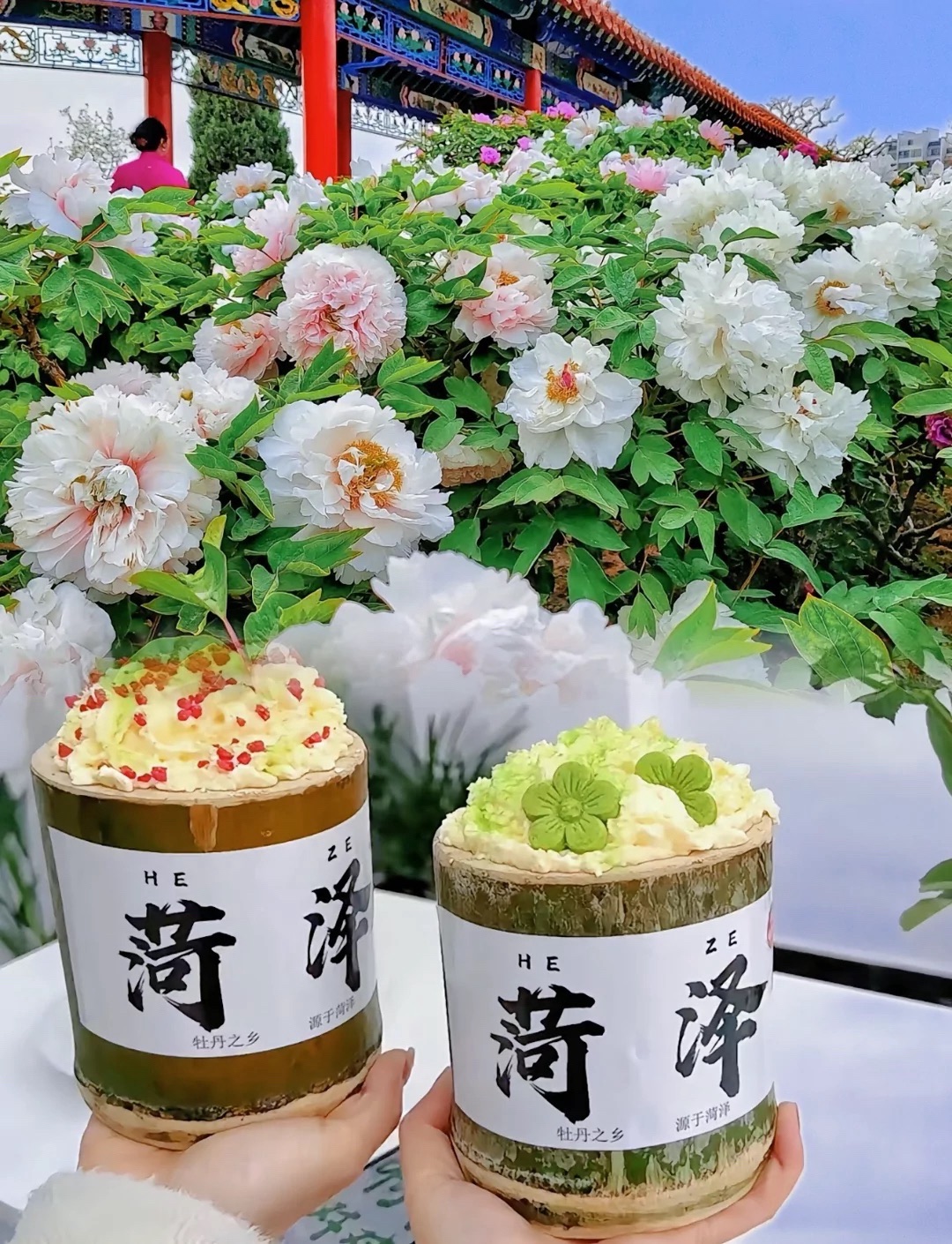 中国牡丹园旅行图片 1