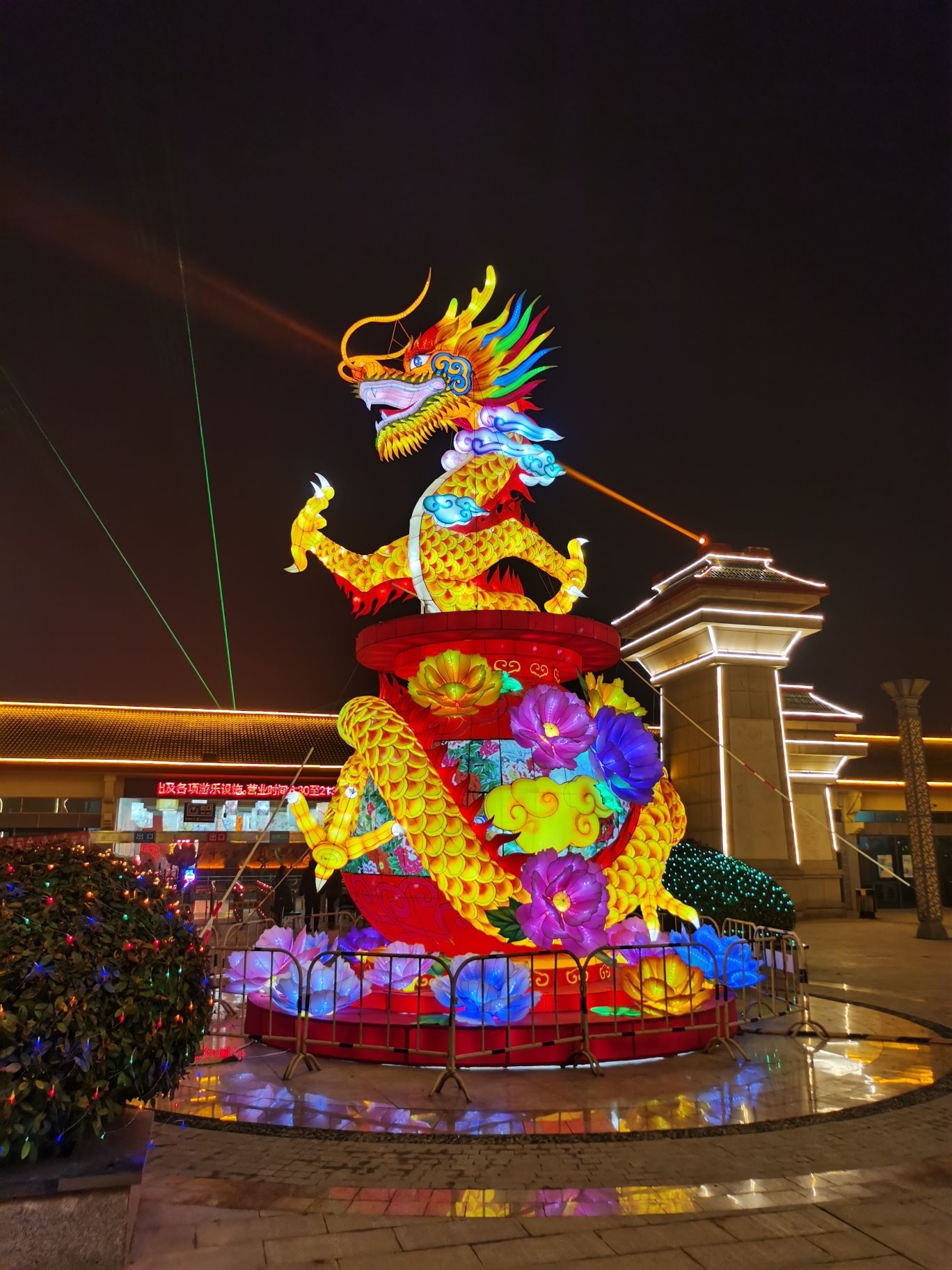 中国牡丹园旅行图片 1
