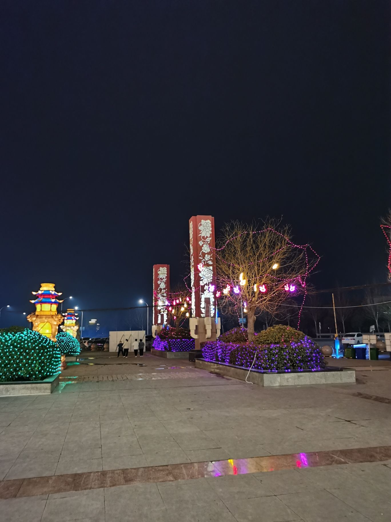 中国牡丹园旅行图片 3