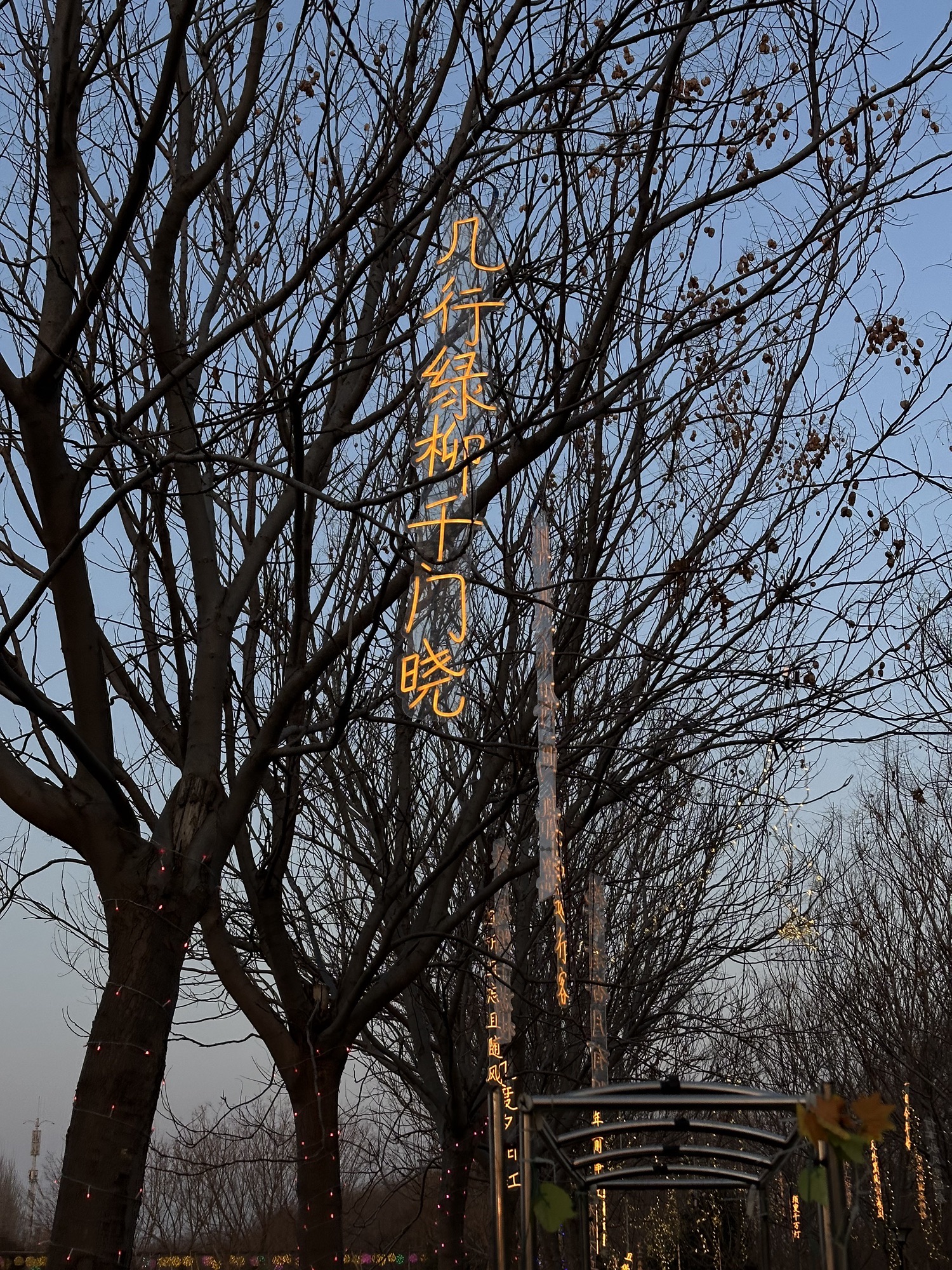 中国牡丹园旅行图片 3