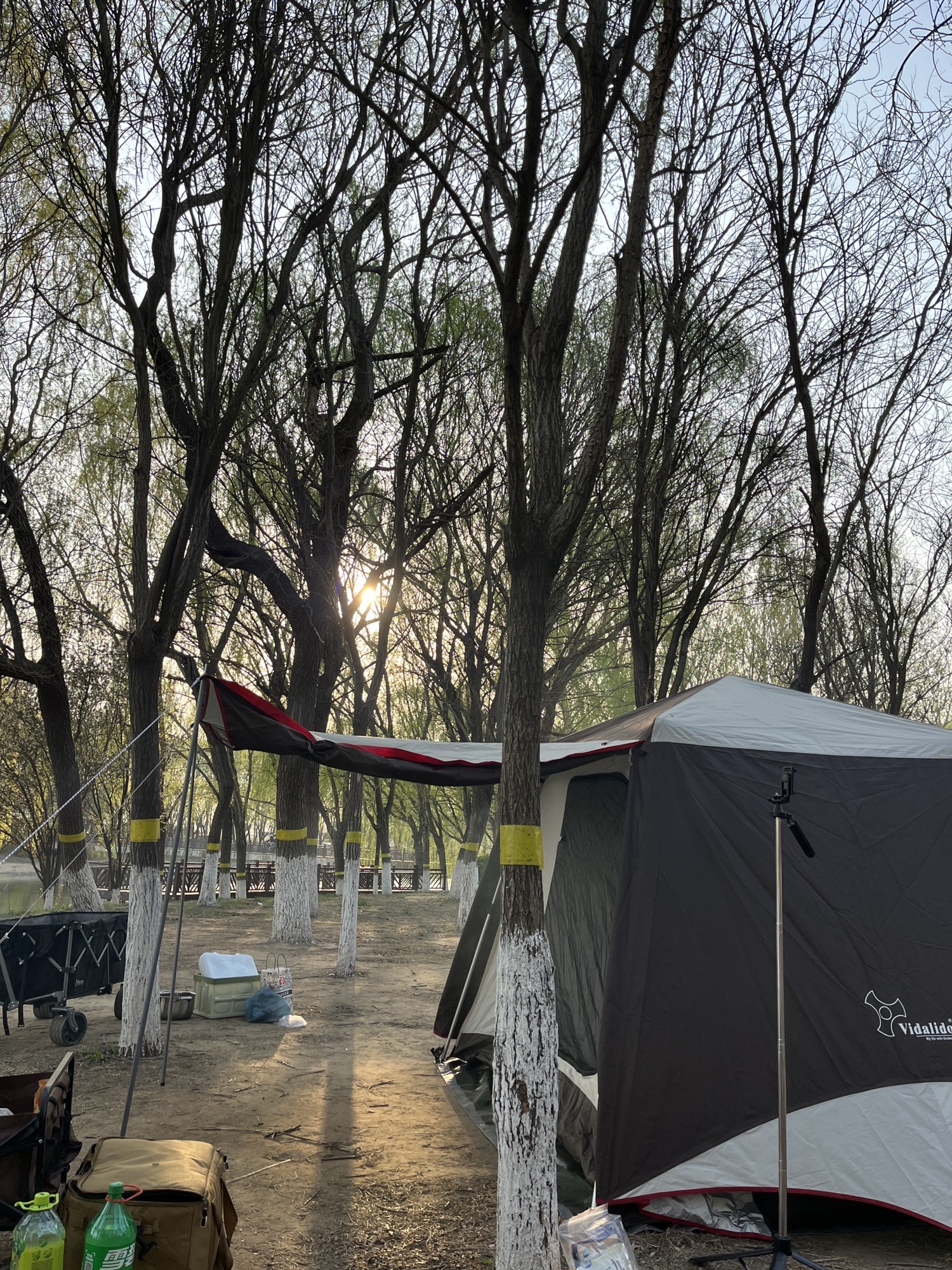 天津郊野公园旅行图片 2