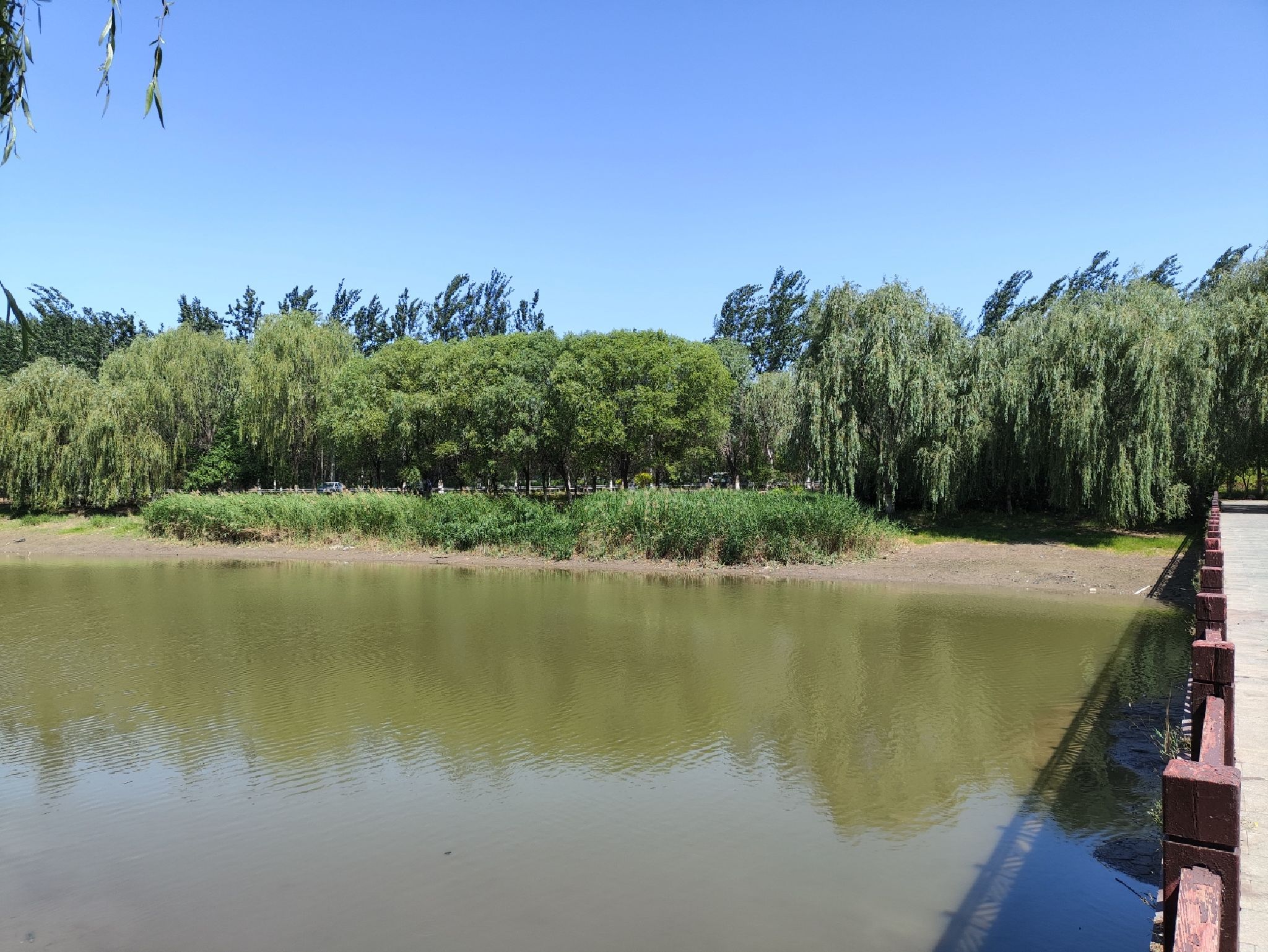 天津郊野公园旅行图片 1