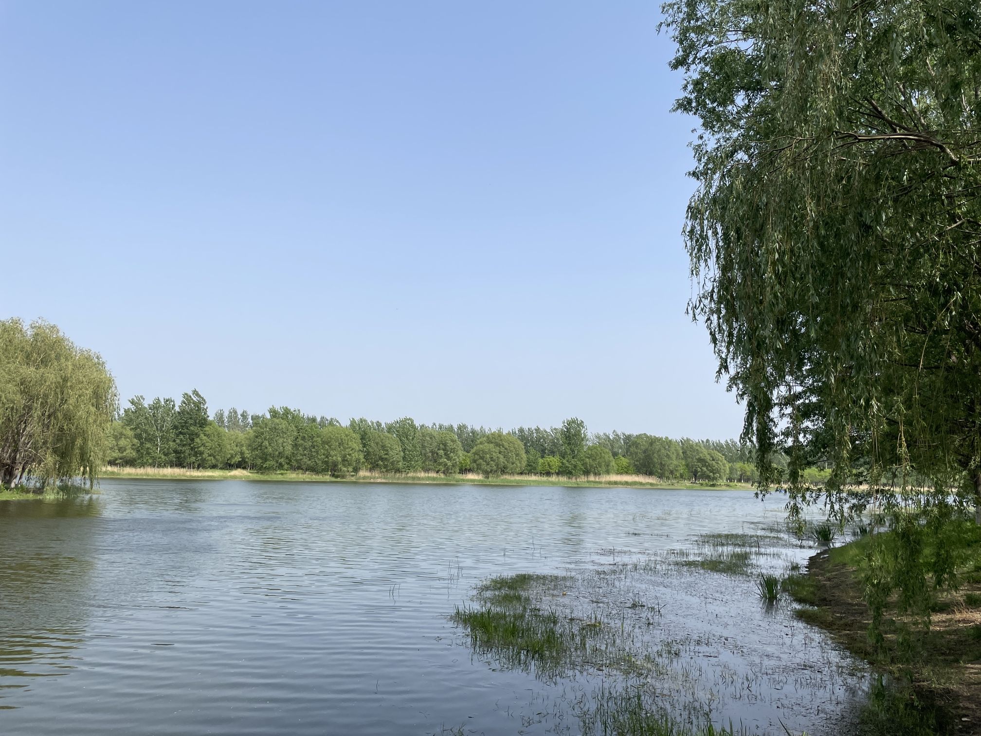 天津郊野公园旅行图片 2
