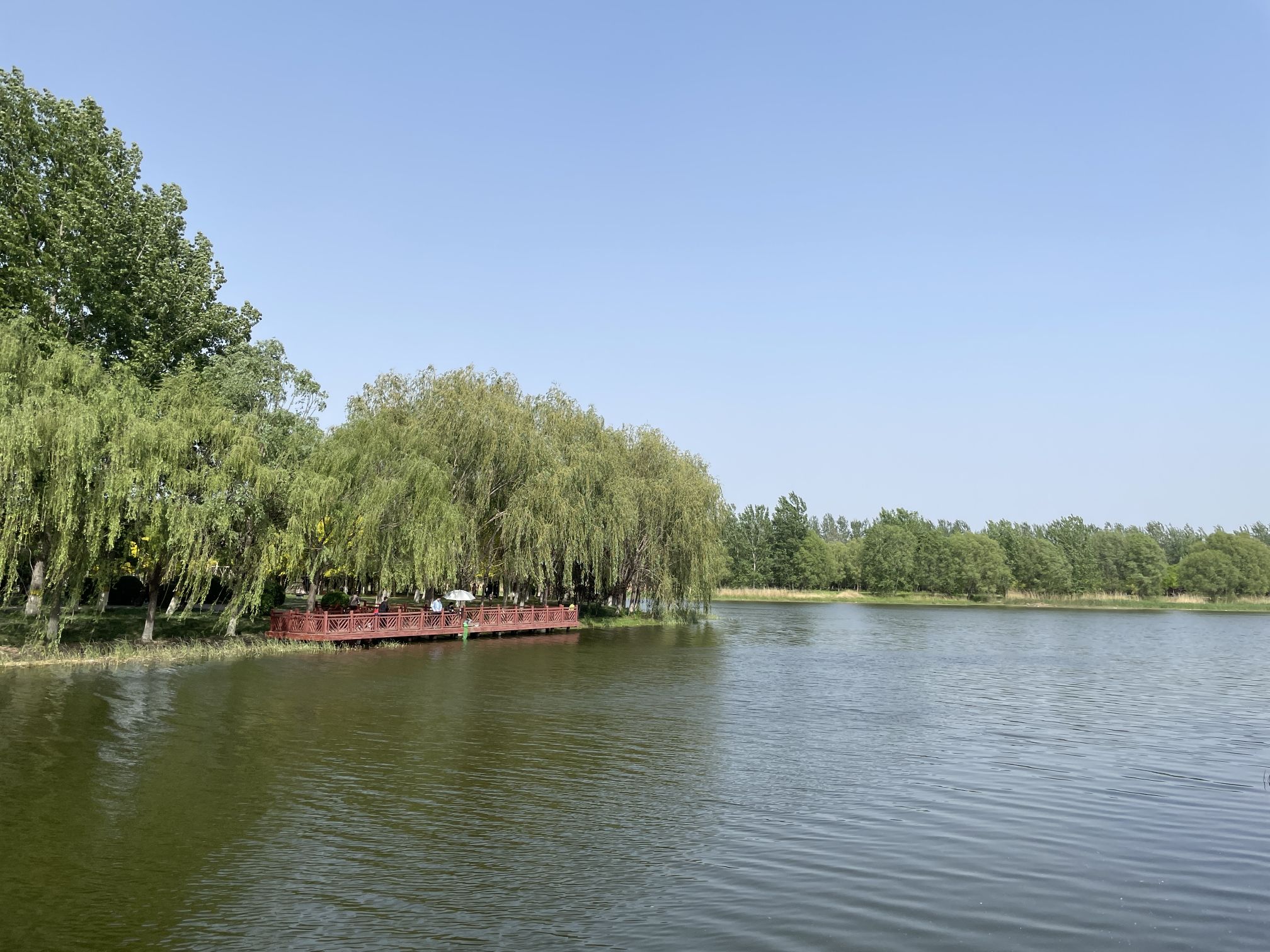 天津郊野公园旅行图片 1