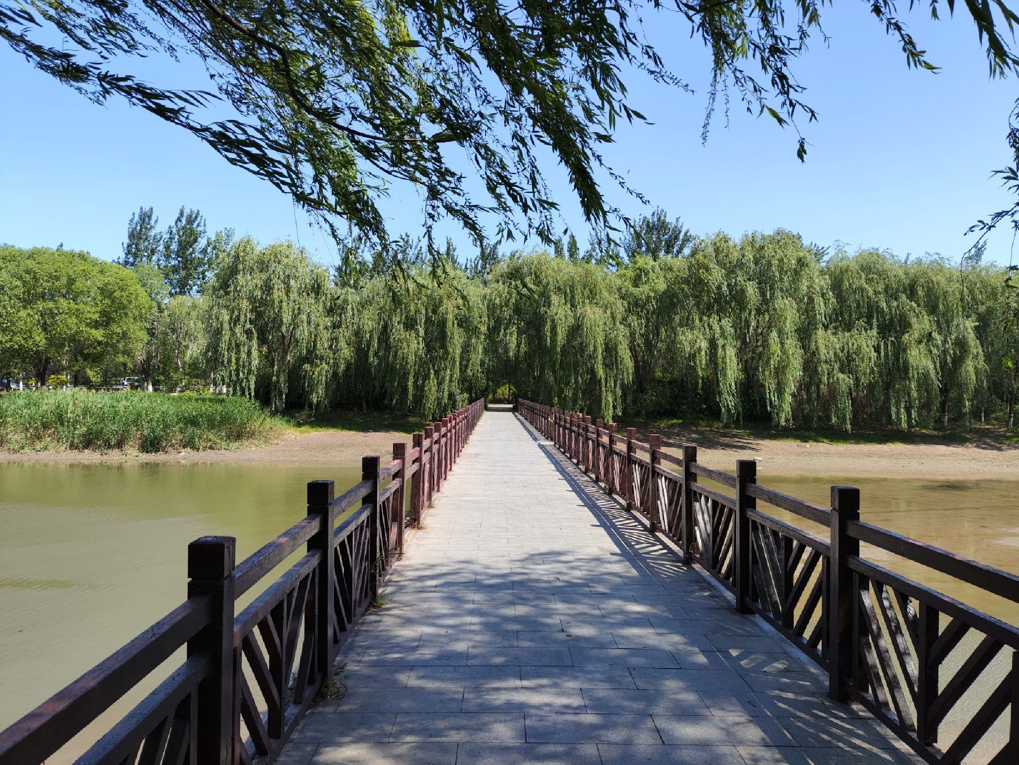 天津郊野公园旅行图片 3