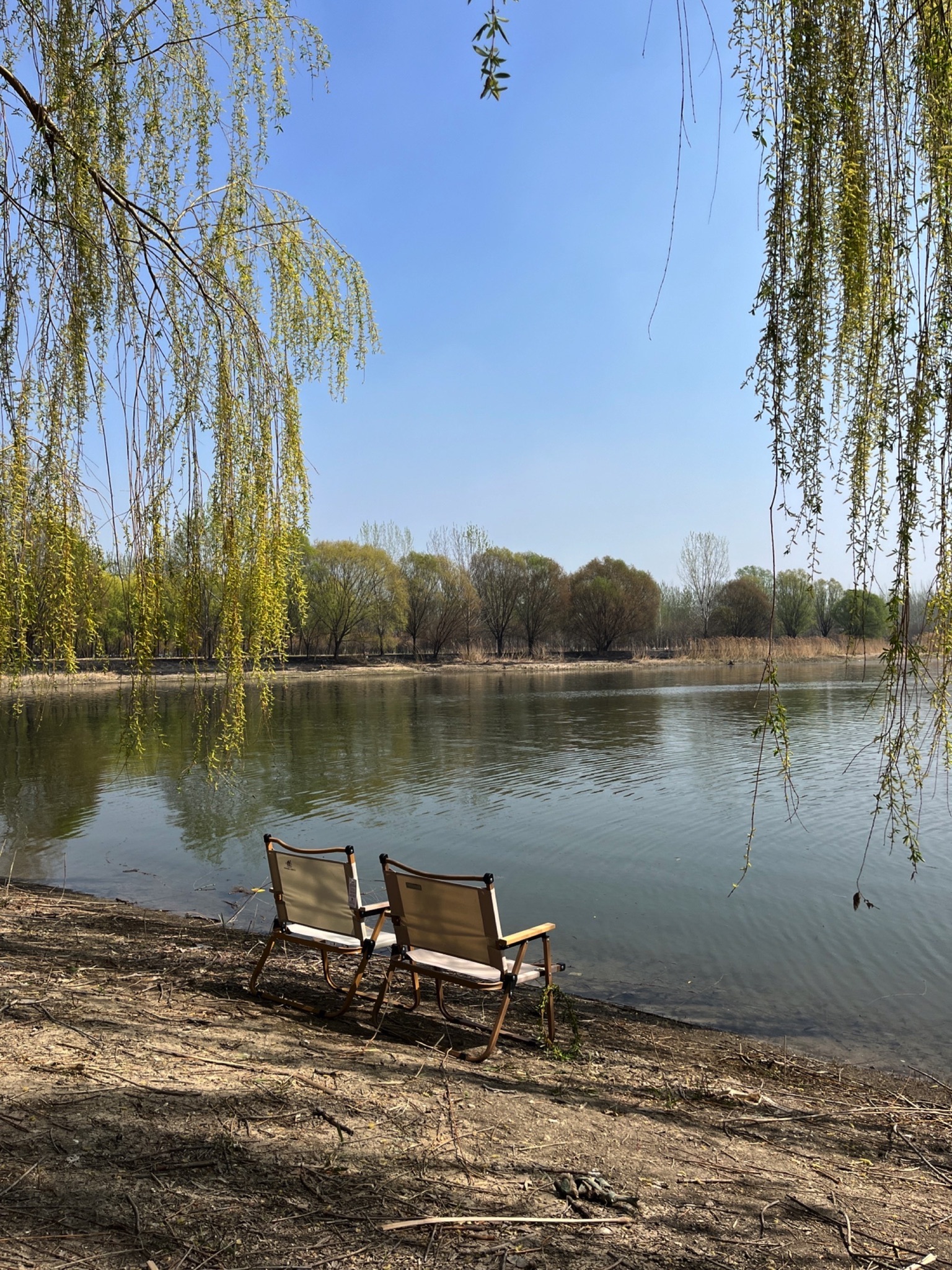 天津郊野公园旅行图片 1