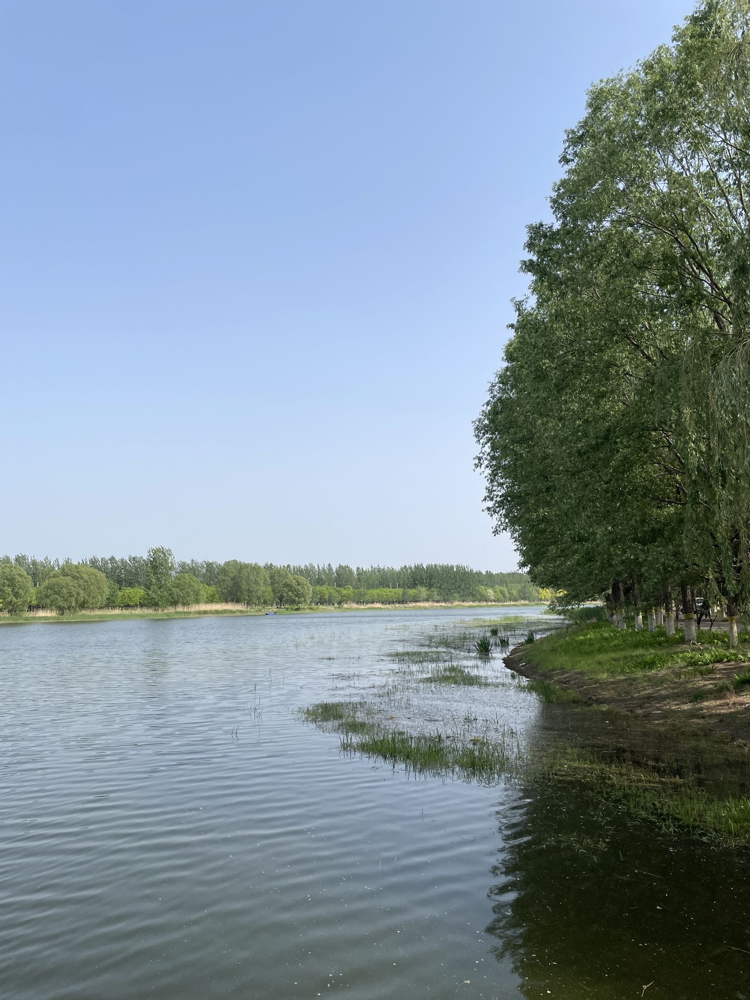 天津郊野公园旅行图片 3