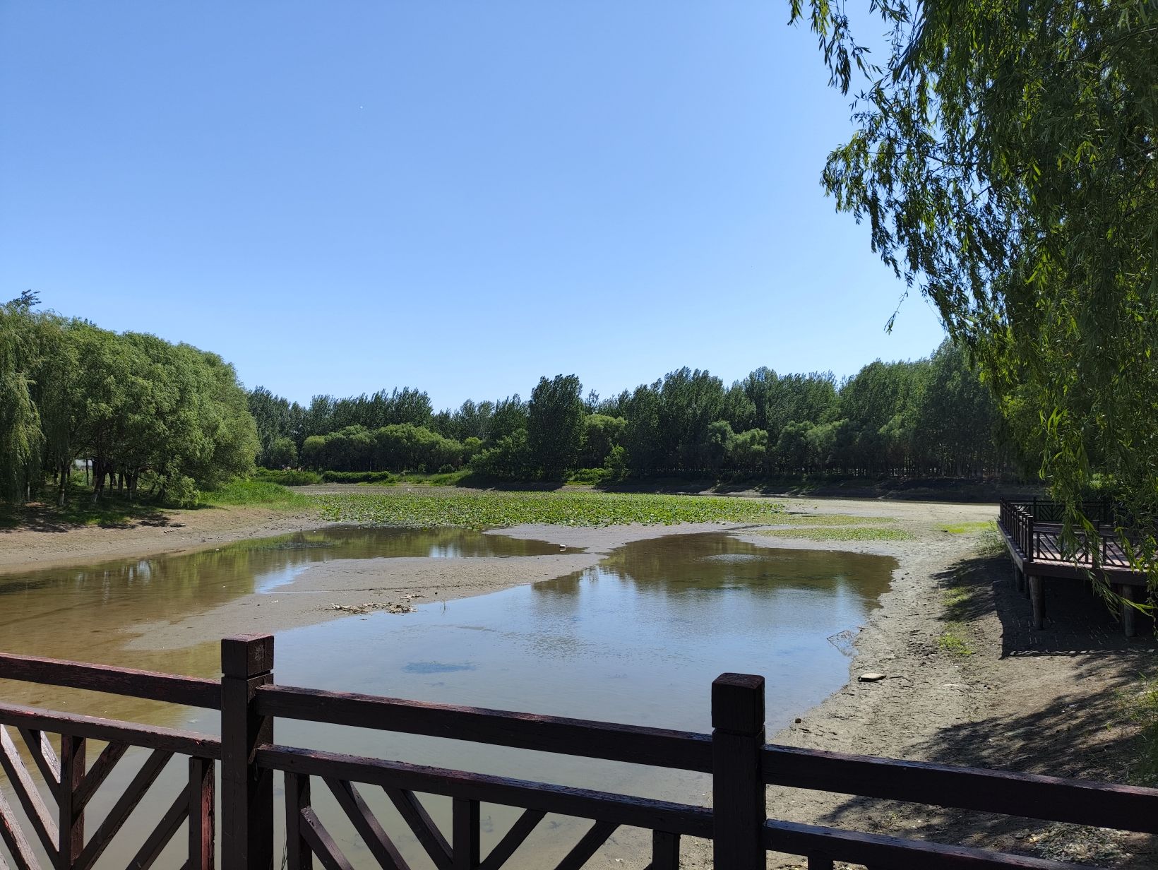 天津郊野公园旅行图片 2