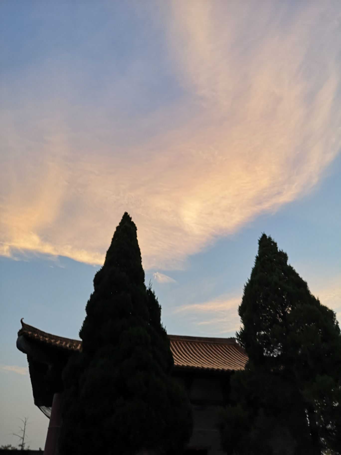 叶公陵园旅行图片 3