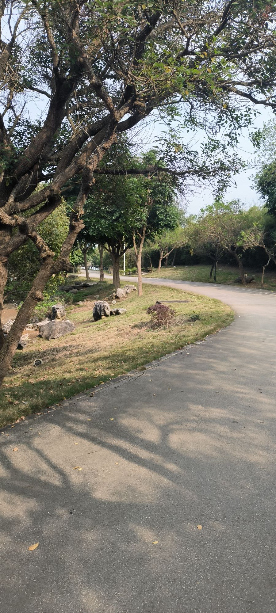 崇左园博园旅行图片 3
