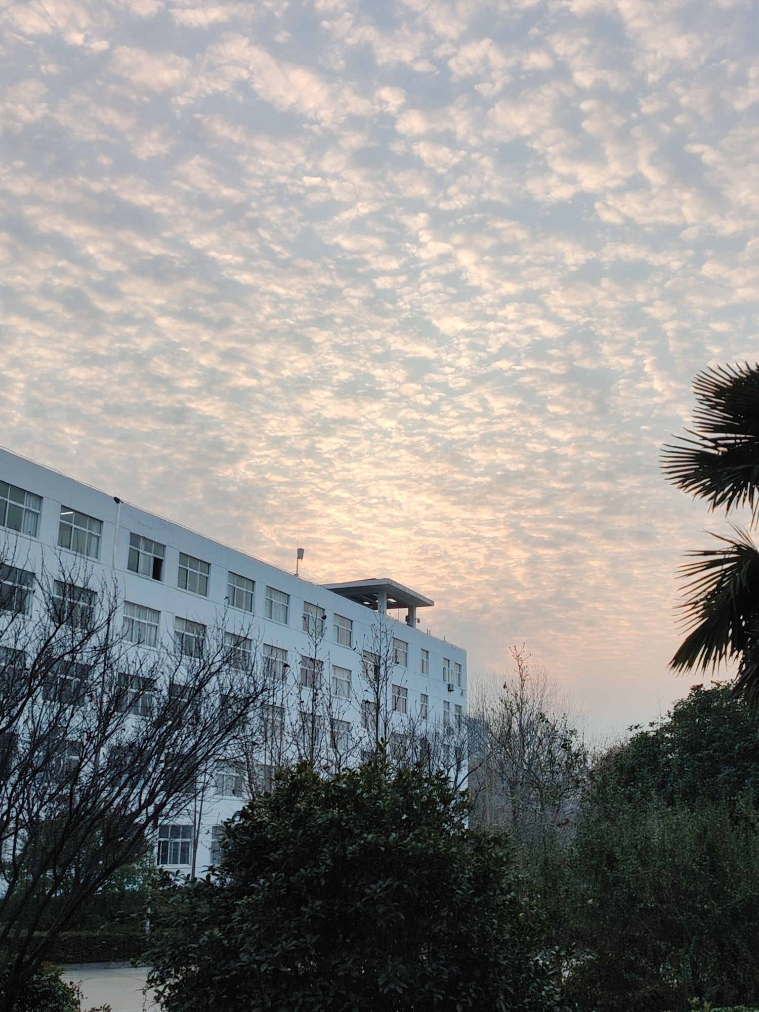 周口职业技术学院(文昌校区)