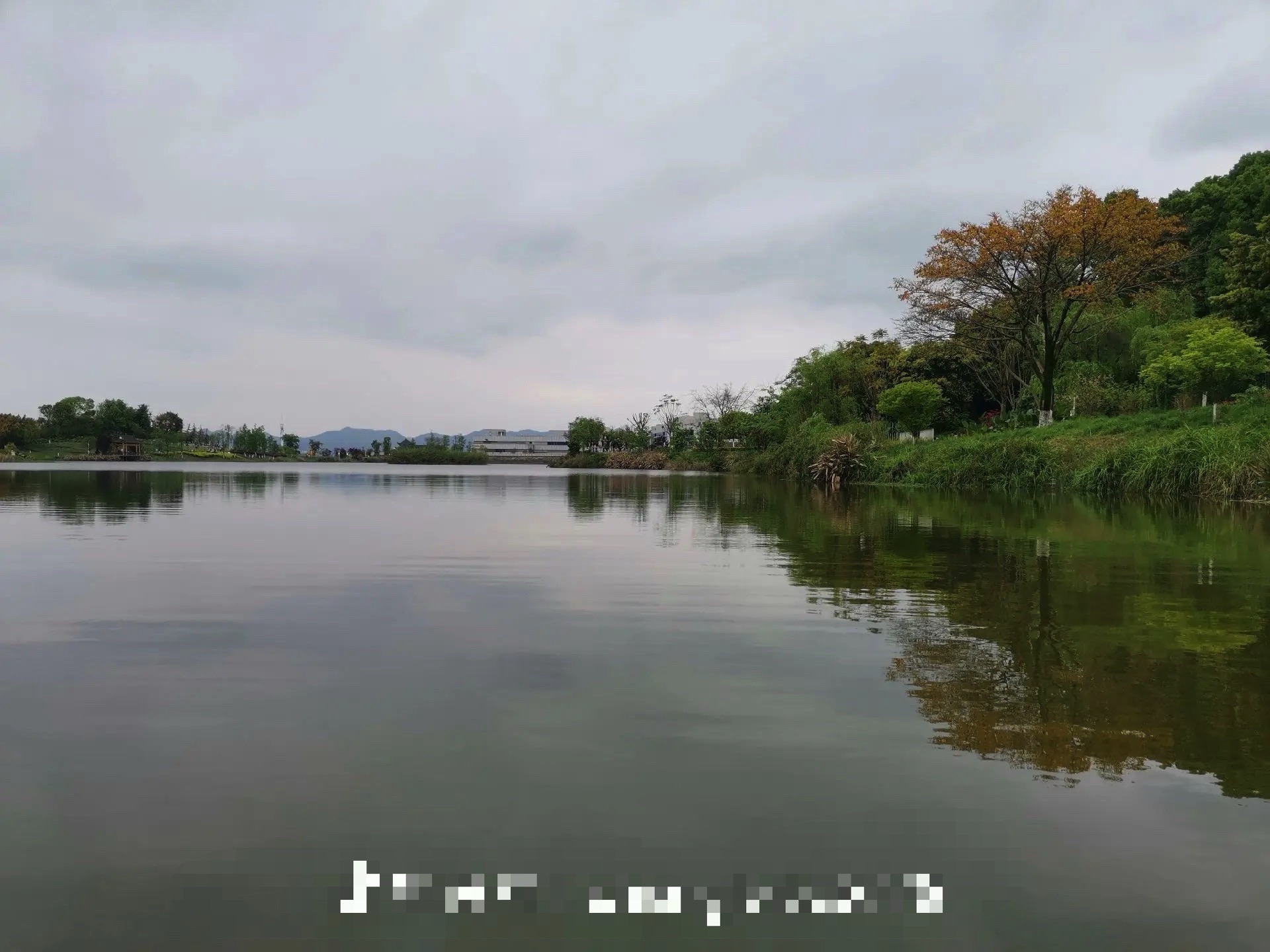 黄龙湖公园旅行图片 2