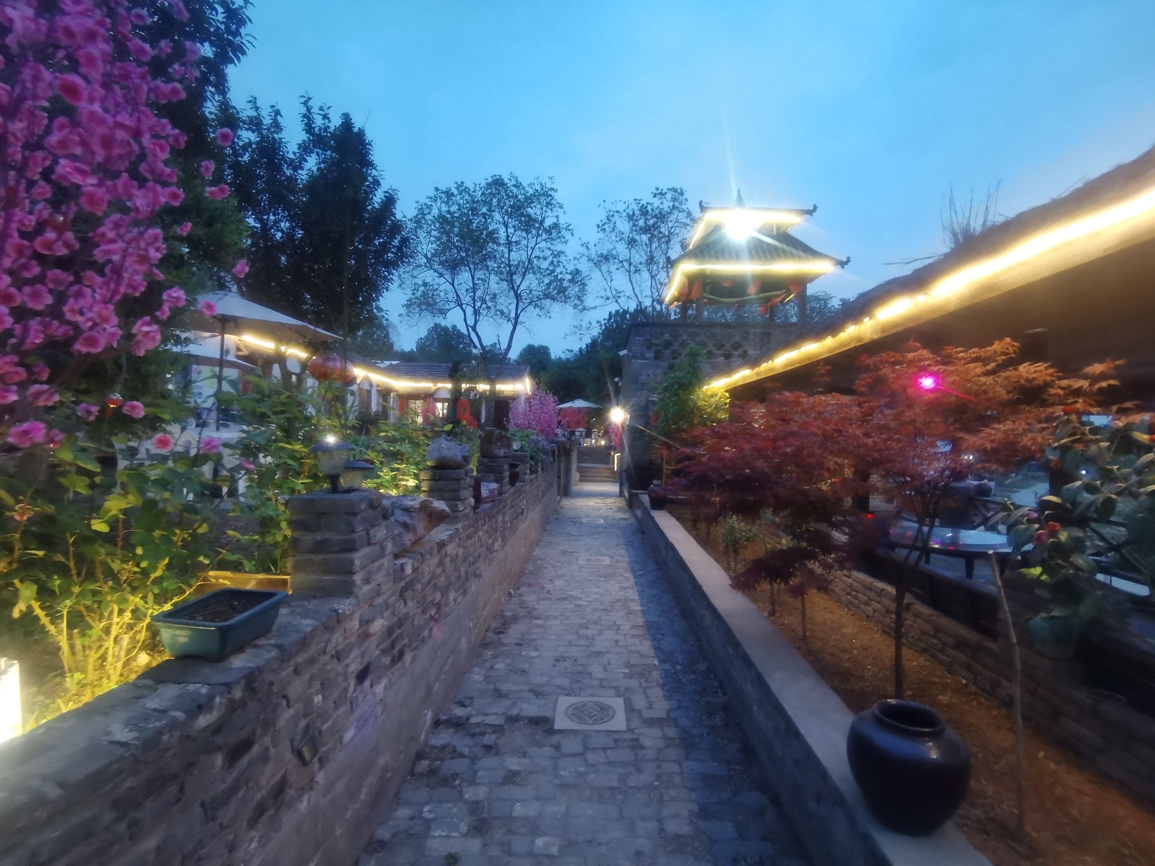 万绿森态园旅行图片 2