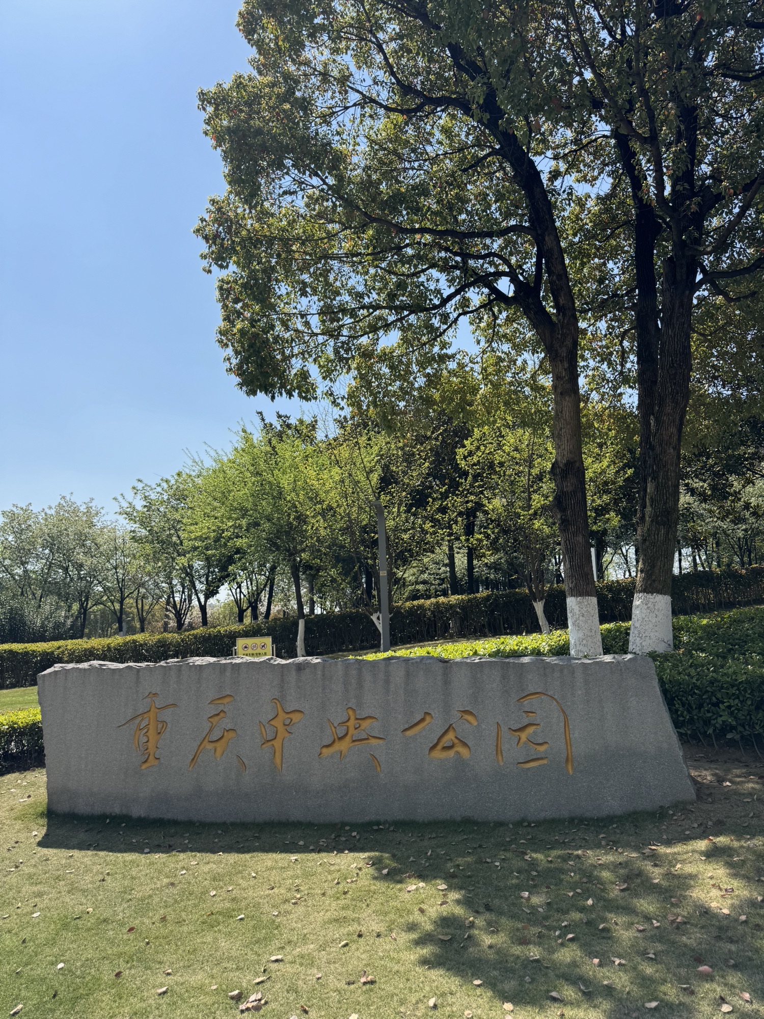 重庆中央公园-阳光大草坪