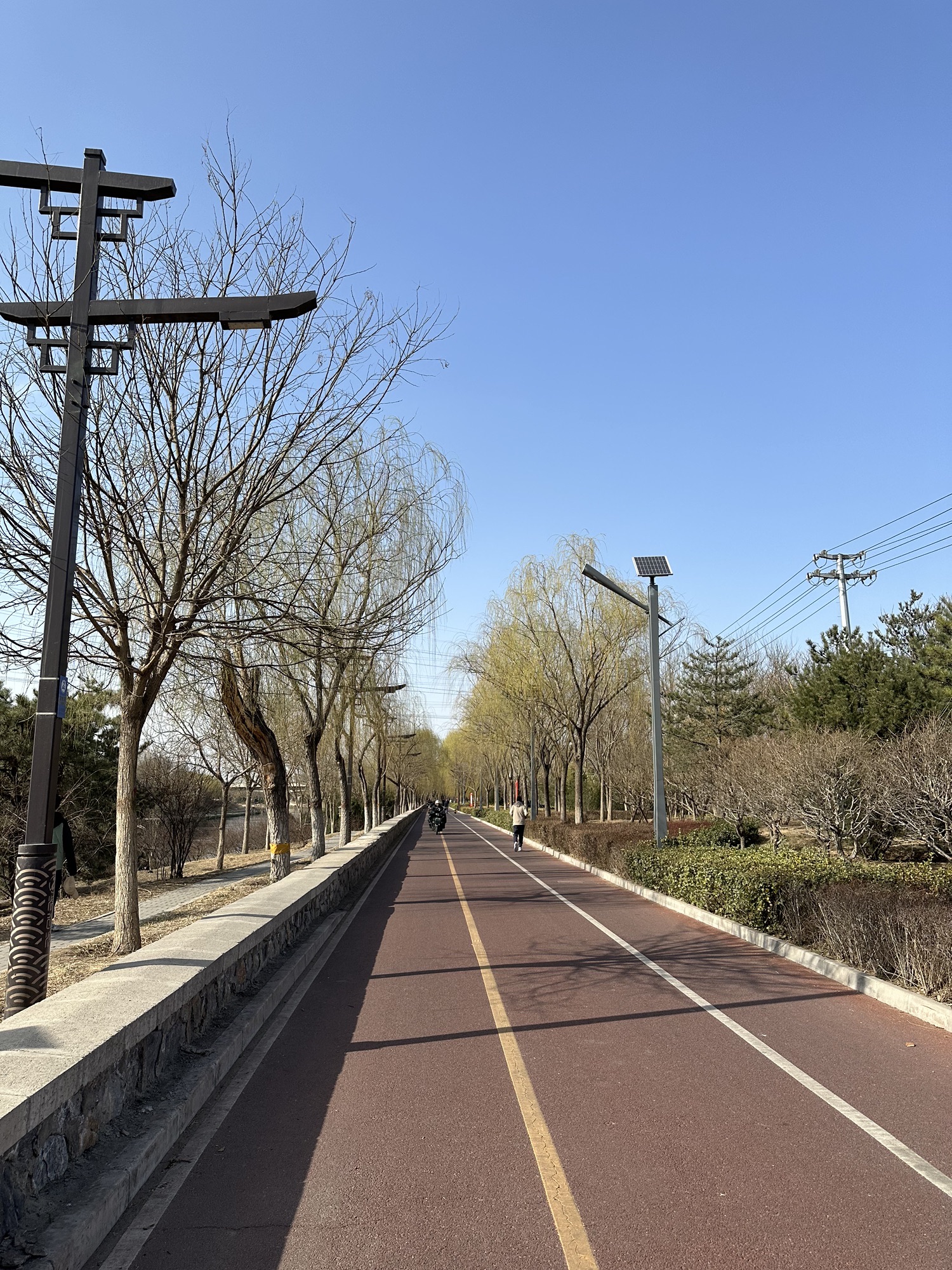 河滨公园(东马路)旅行图片 2