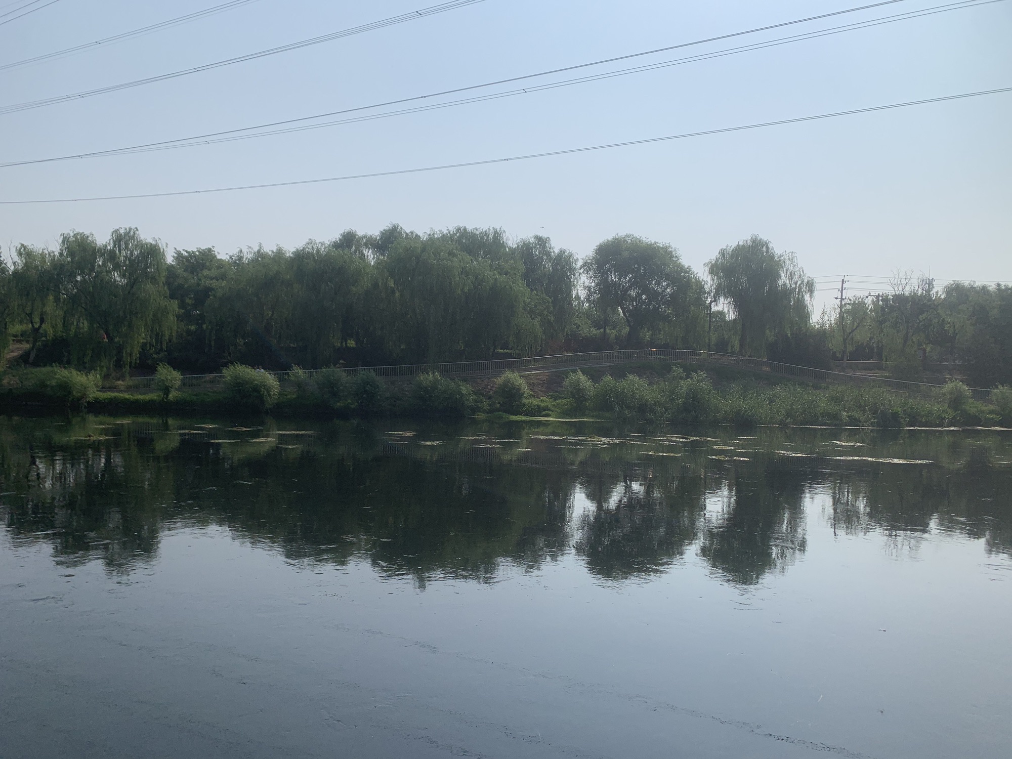 河滨公园(东马路)旅行图片 3