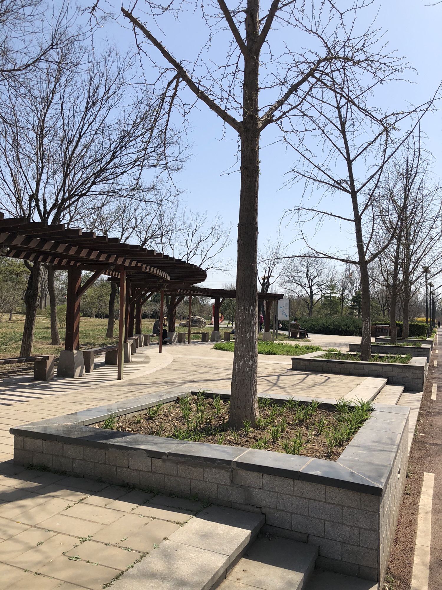 河滨公园(东马路)旅行图片 3