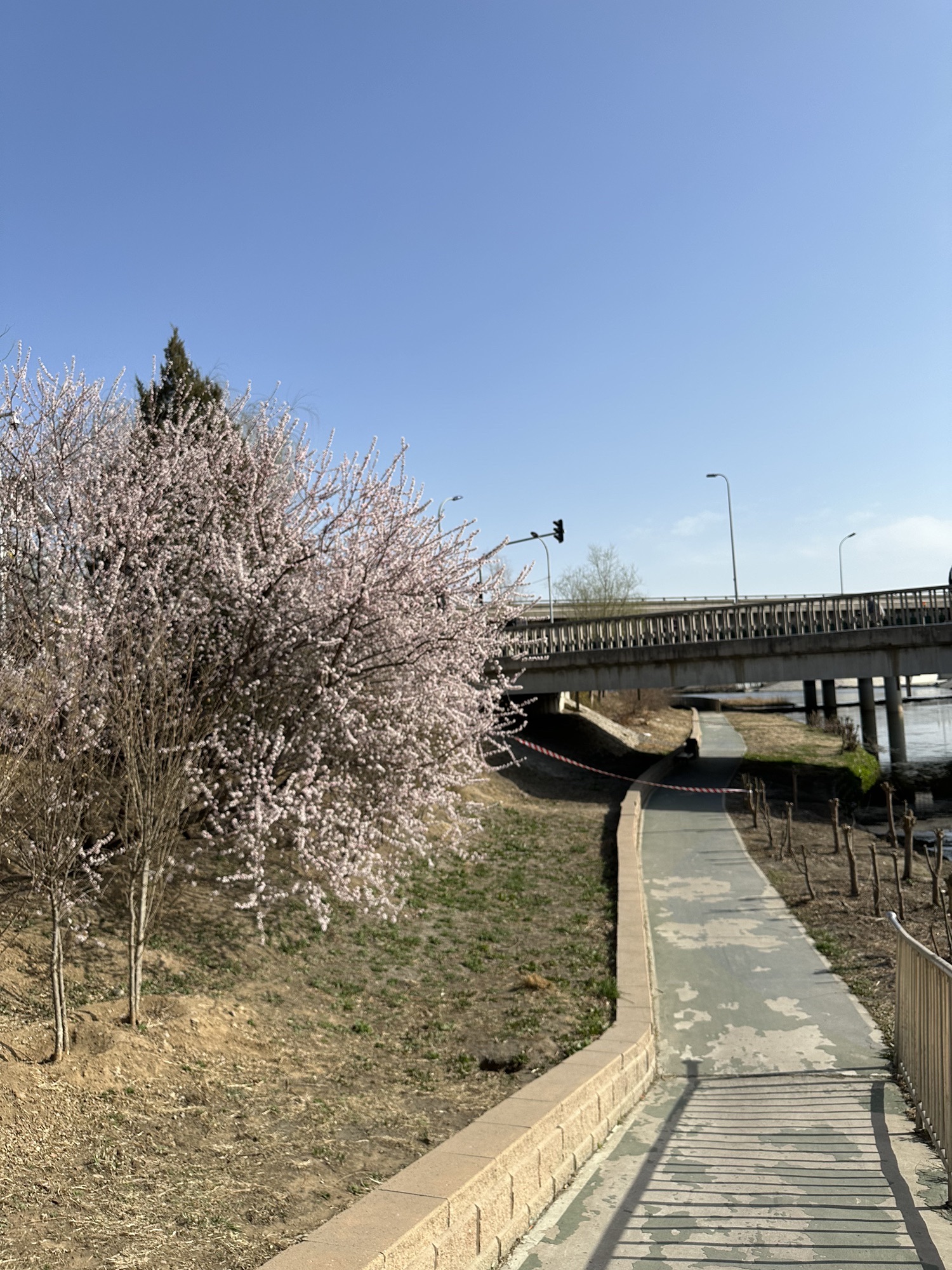 河滨公园(东马路)旅行图片 1