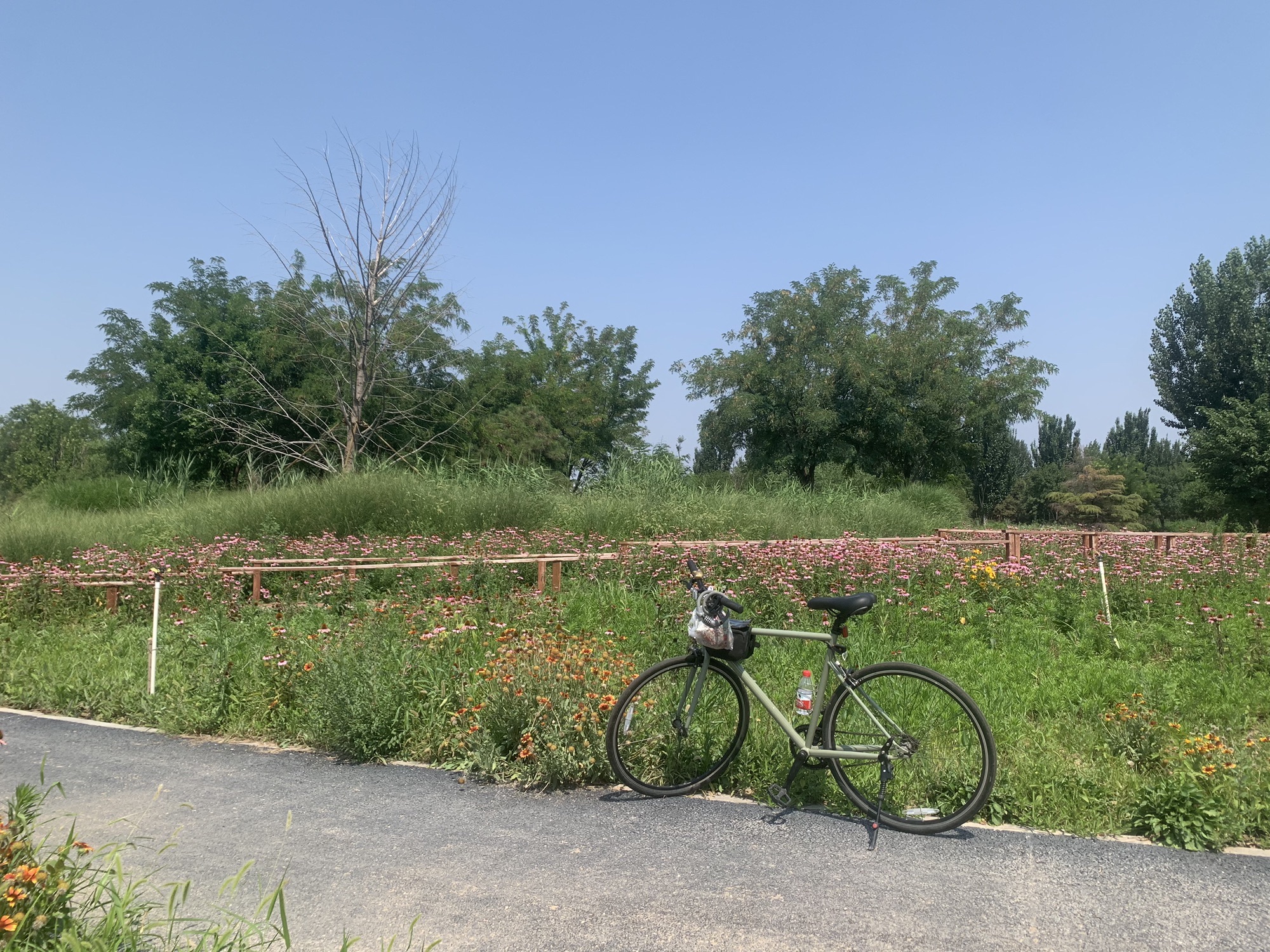 河滨公园(东马路)旅行图片 2
