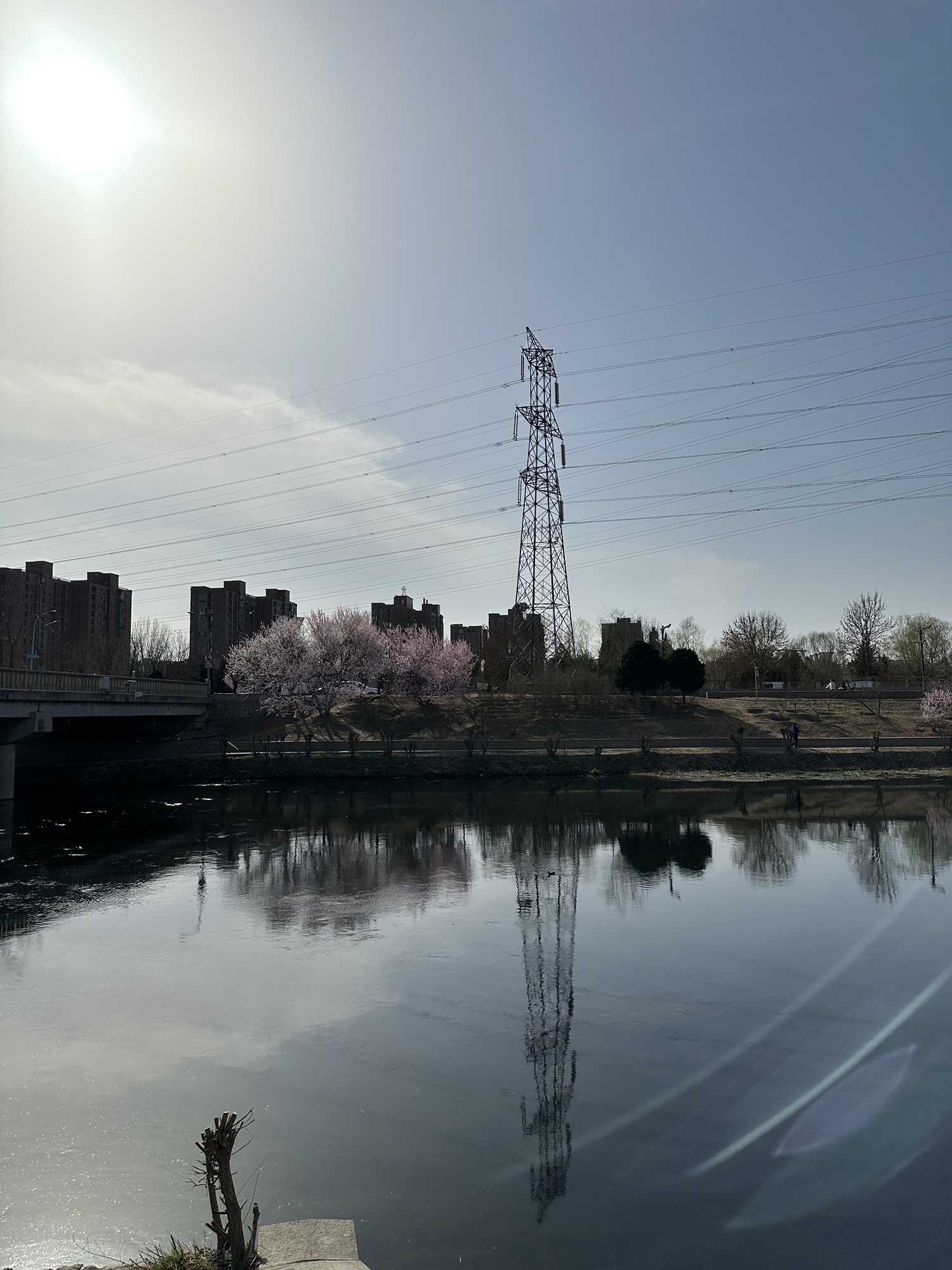 河滨公园(东马路)旅行图片 3
