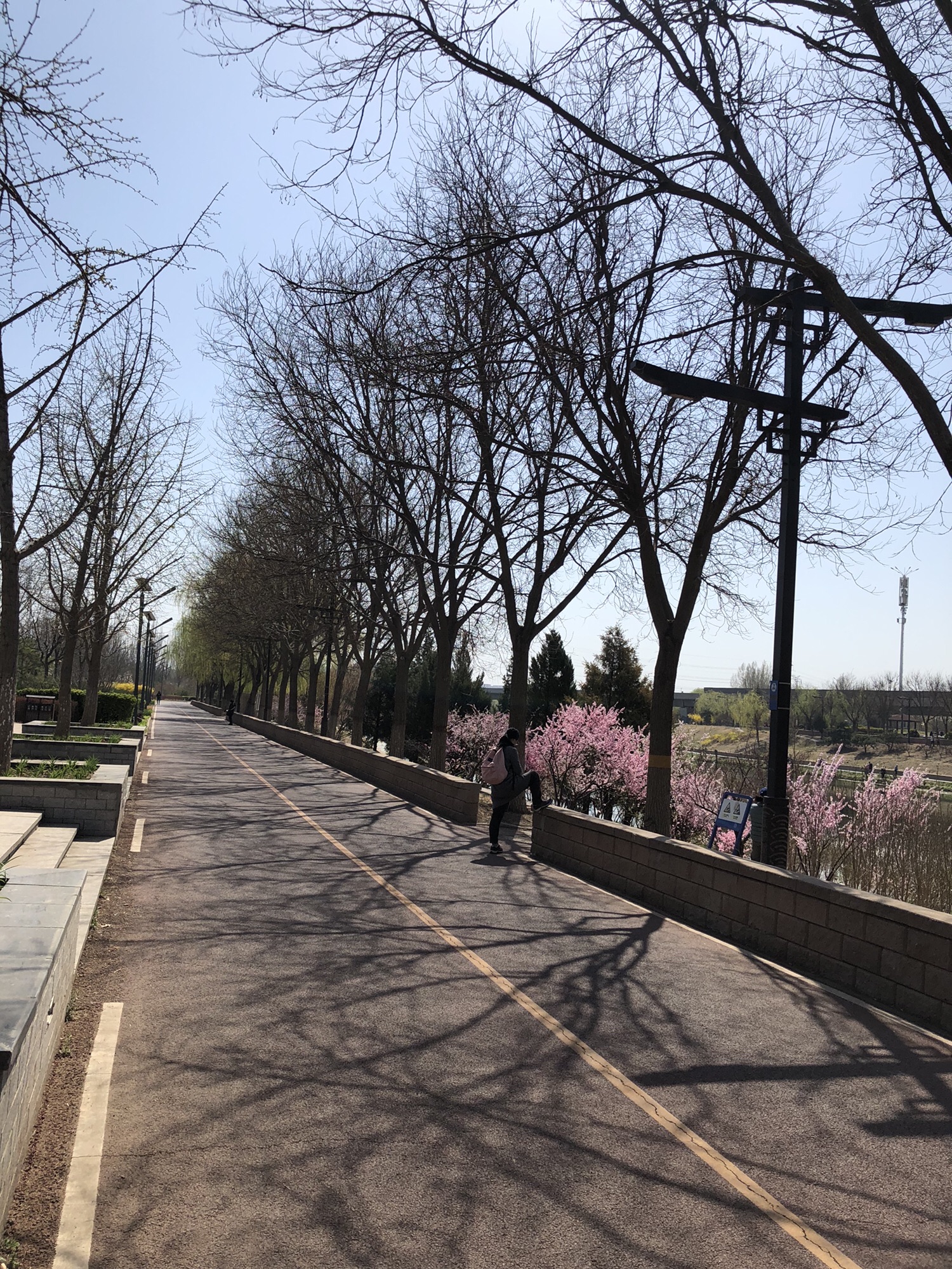 河滨公园(东马路)旅行图片 2