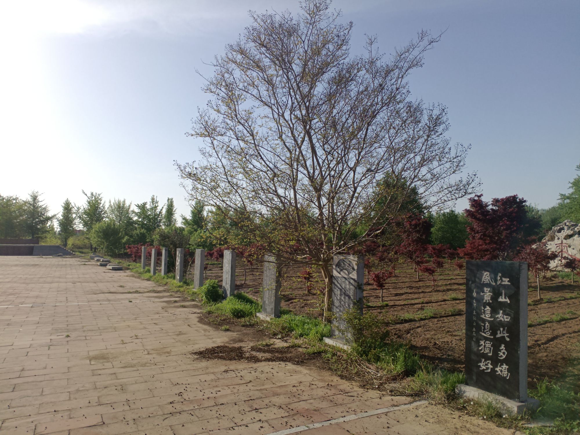 福寿塔旅行图片 3