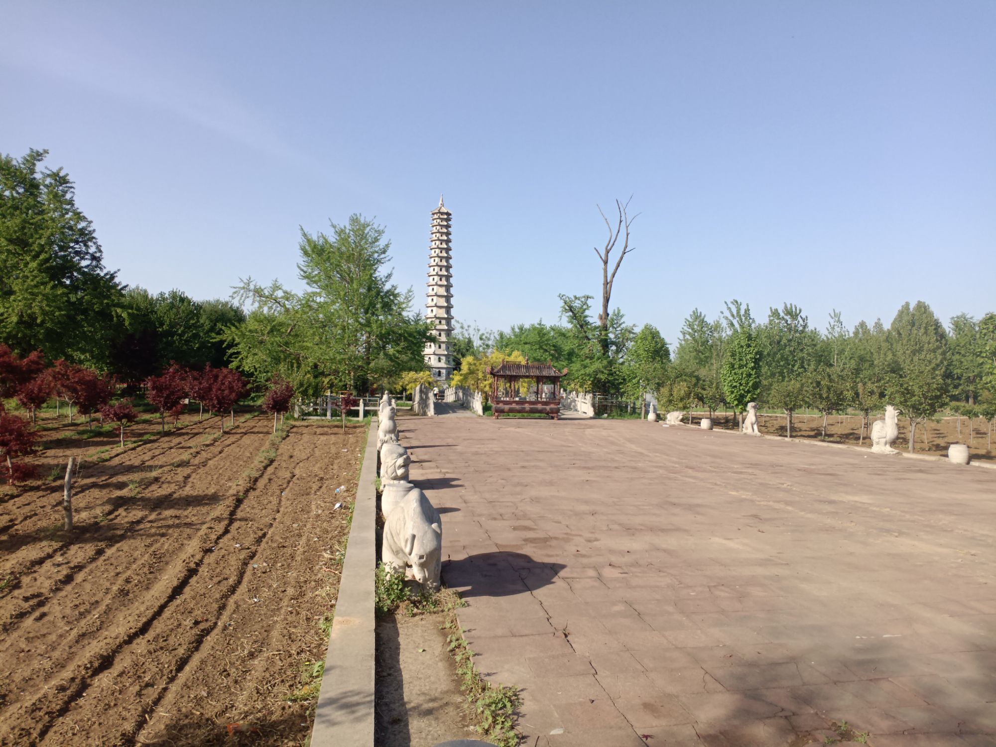 福寿塔旅行图片 1