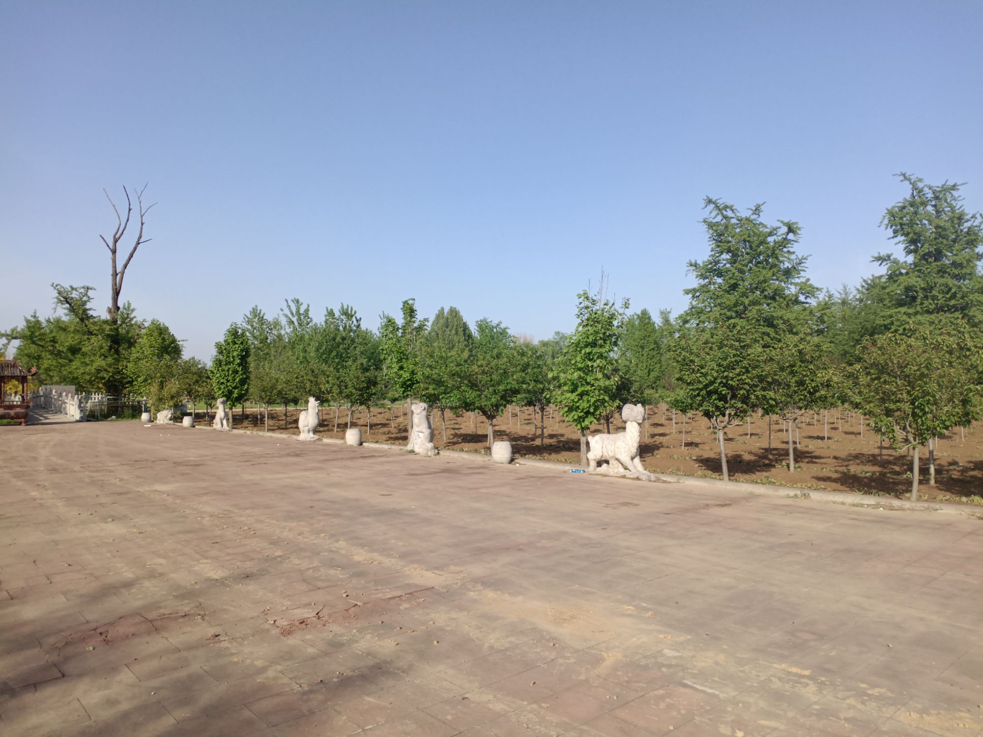 福寿塔旅行图片 2