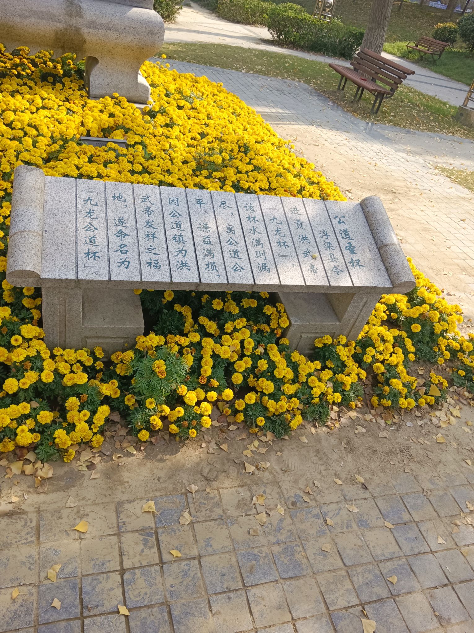 引潮河风光带旅行图片 3