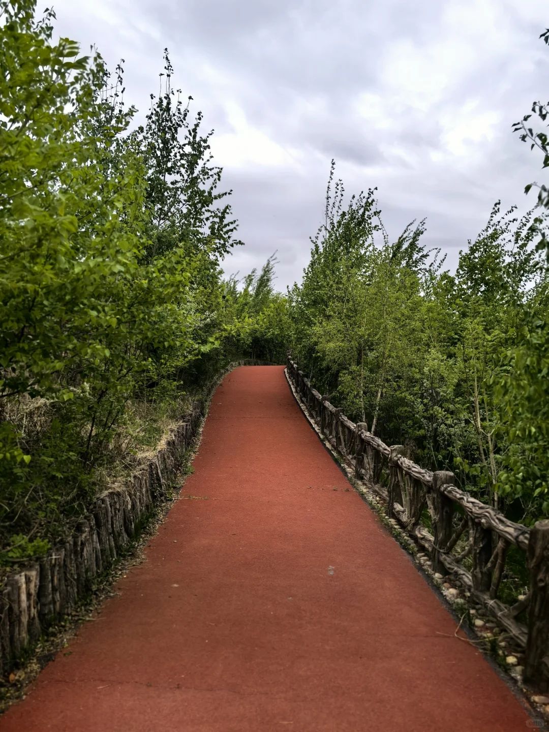 银湖公园旅行图片 1