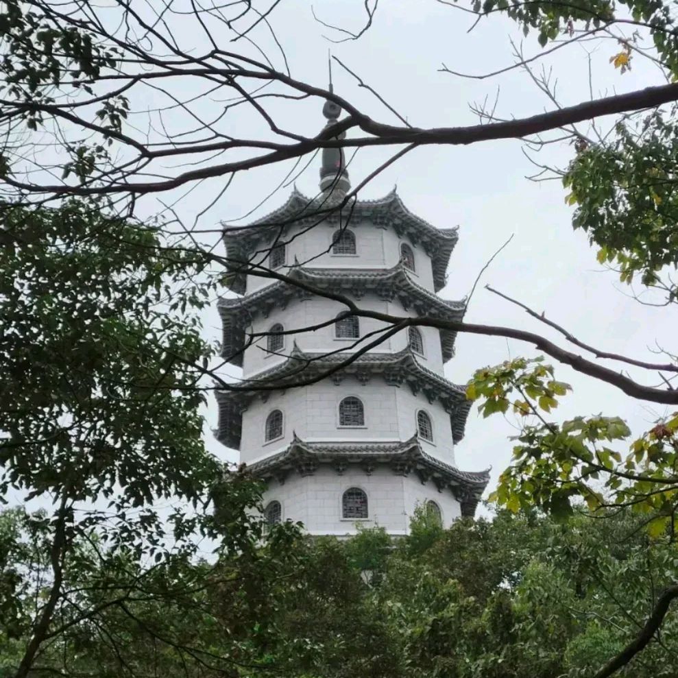 仙庾岭风景区旅行图片