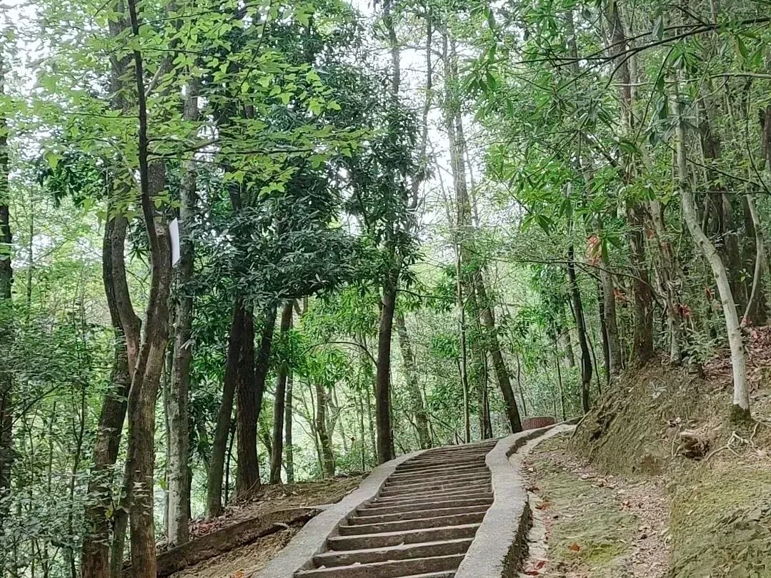仙庾岭风景区旅行图片 3