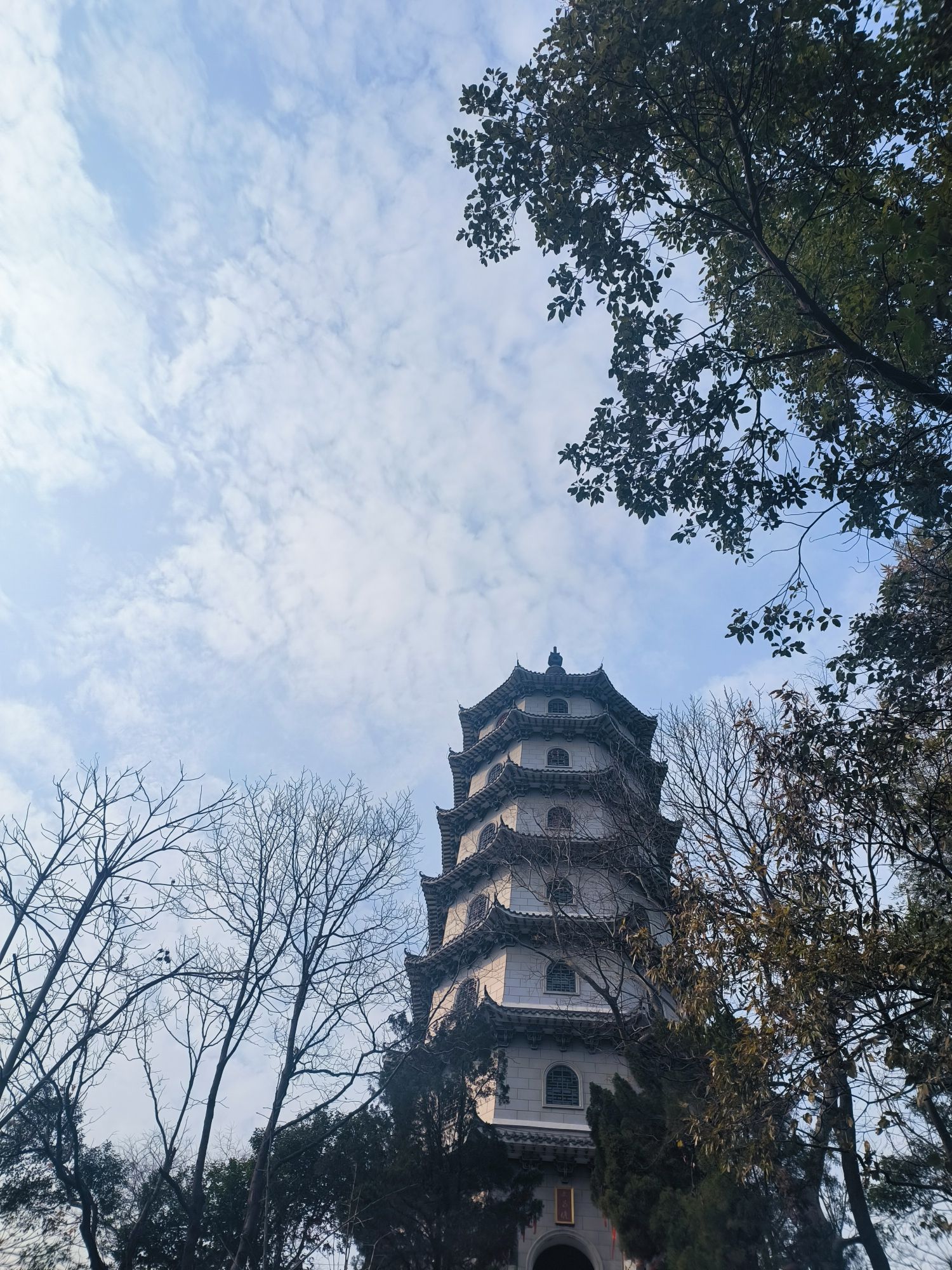 仙庾岭风景区旅行图片 2