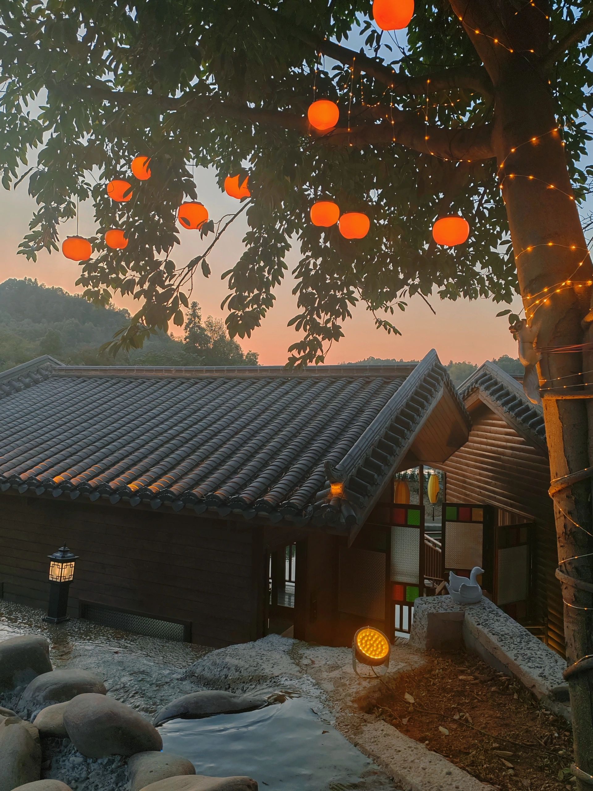 仙庾岭风景区旅行图片 2