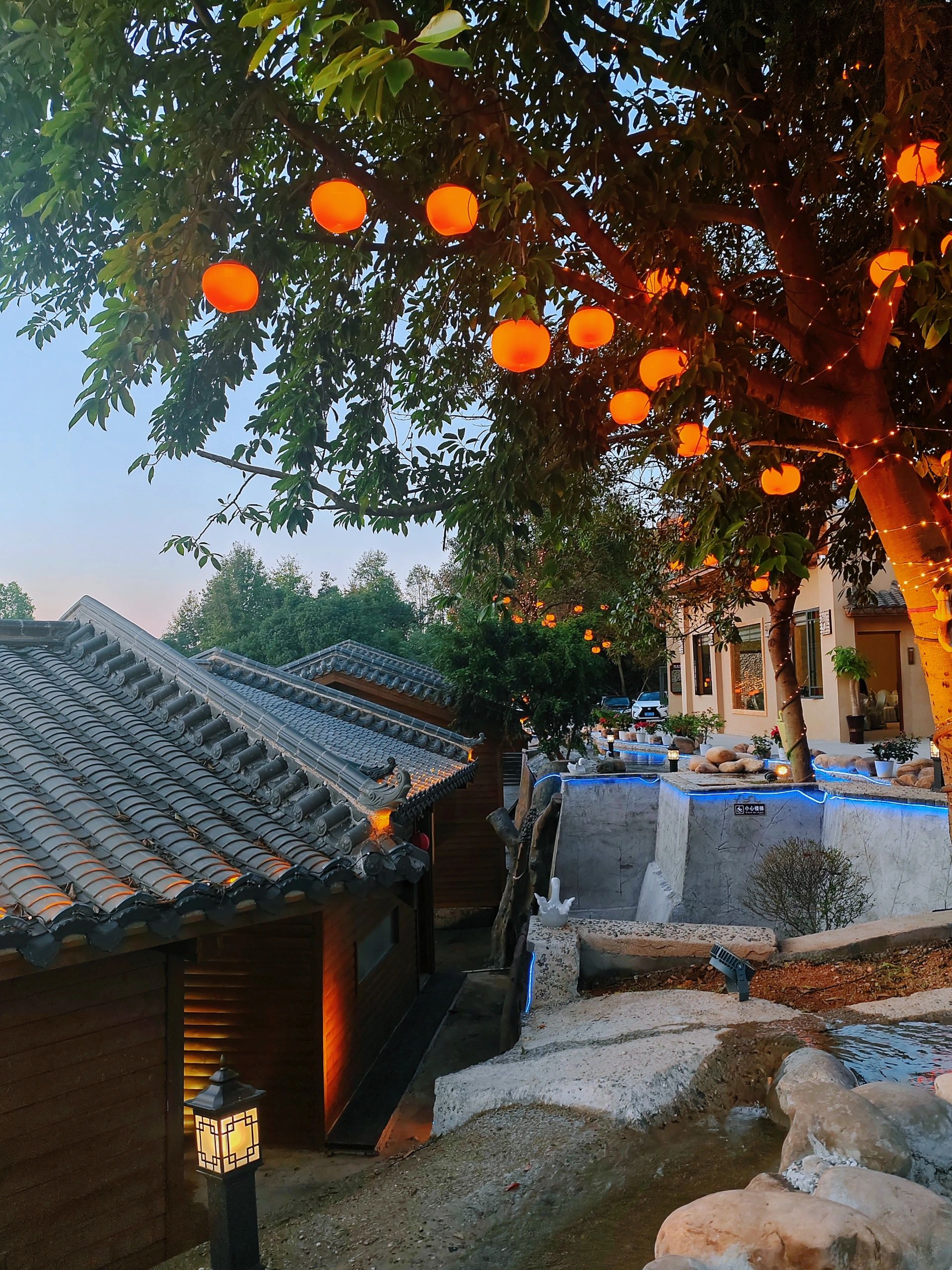 仙庾岭风景区旅行图片 3