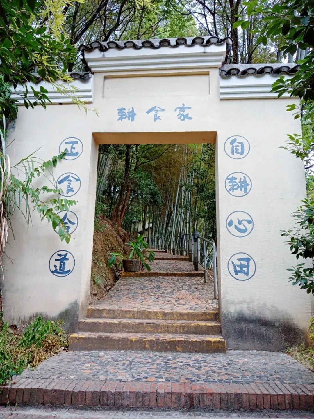 仙庾岭风景区旅行图片 2