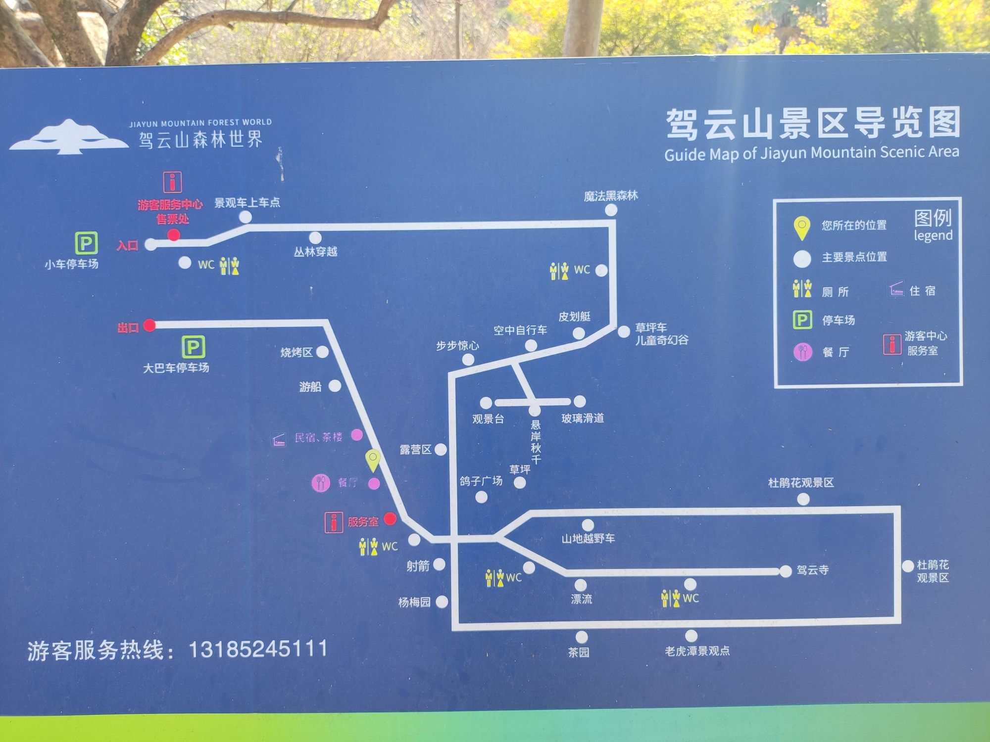 驾云山森林世界旅行图片 1