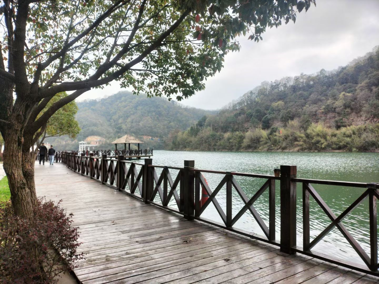 驾云山森林世界旅行图片 2