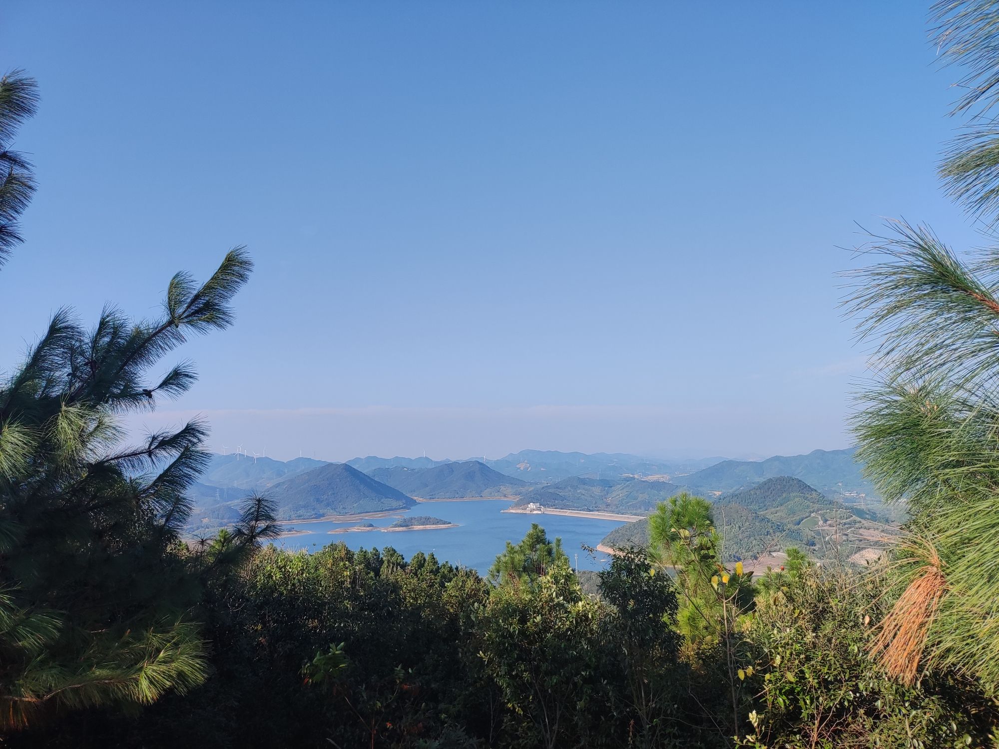 驾云山森林世界旅行图片 2
