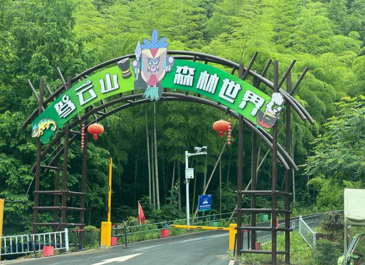 驾云山森林世界旅行图片 1