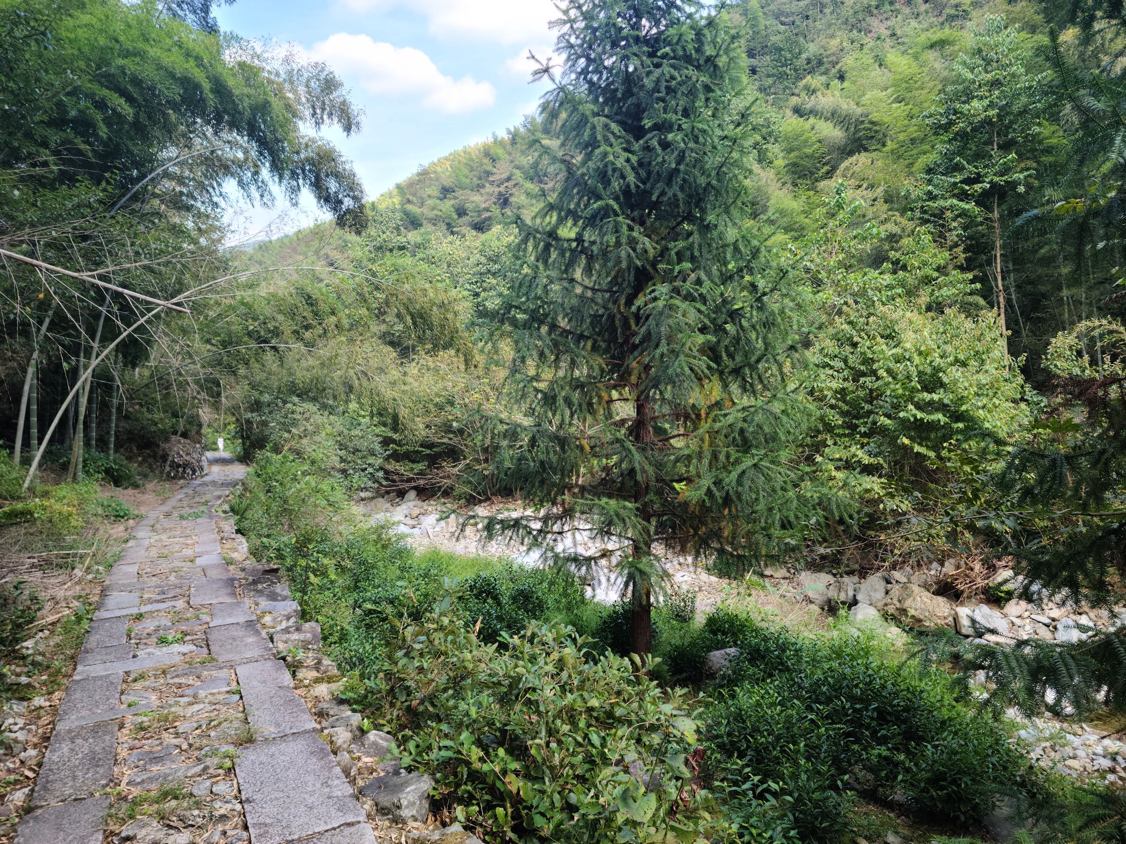 旌歙古道旅行图片 3