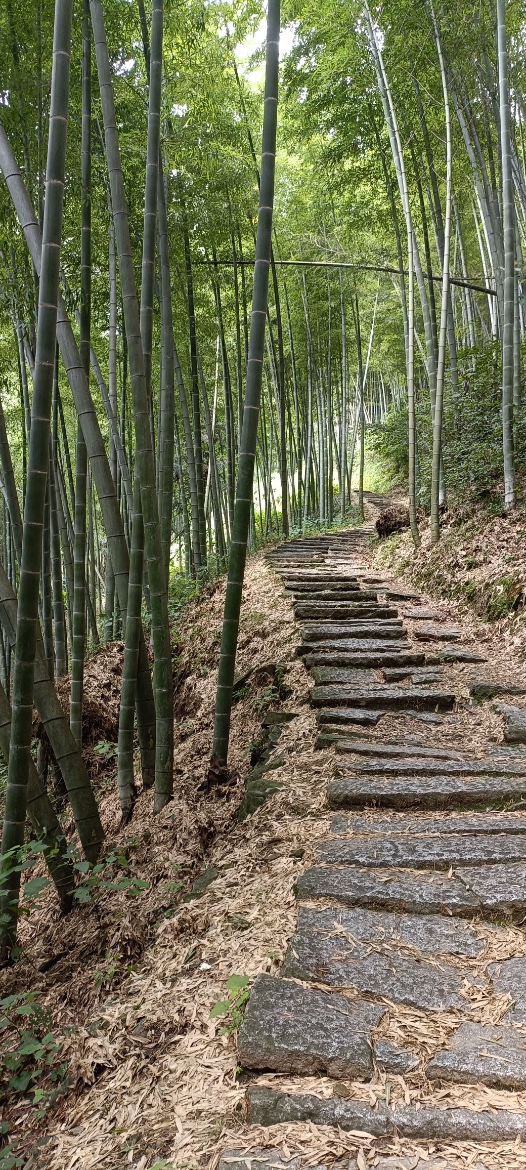 旌歙古道旅行图片 1